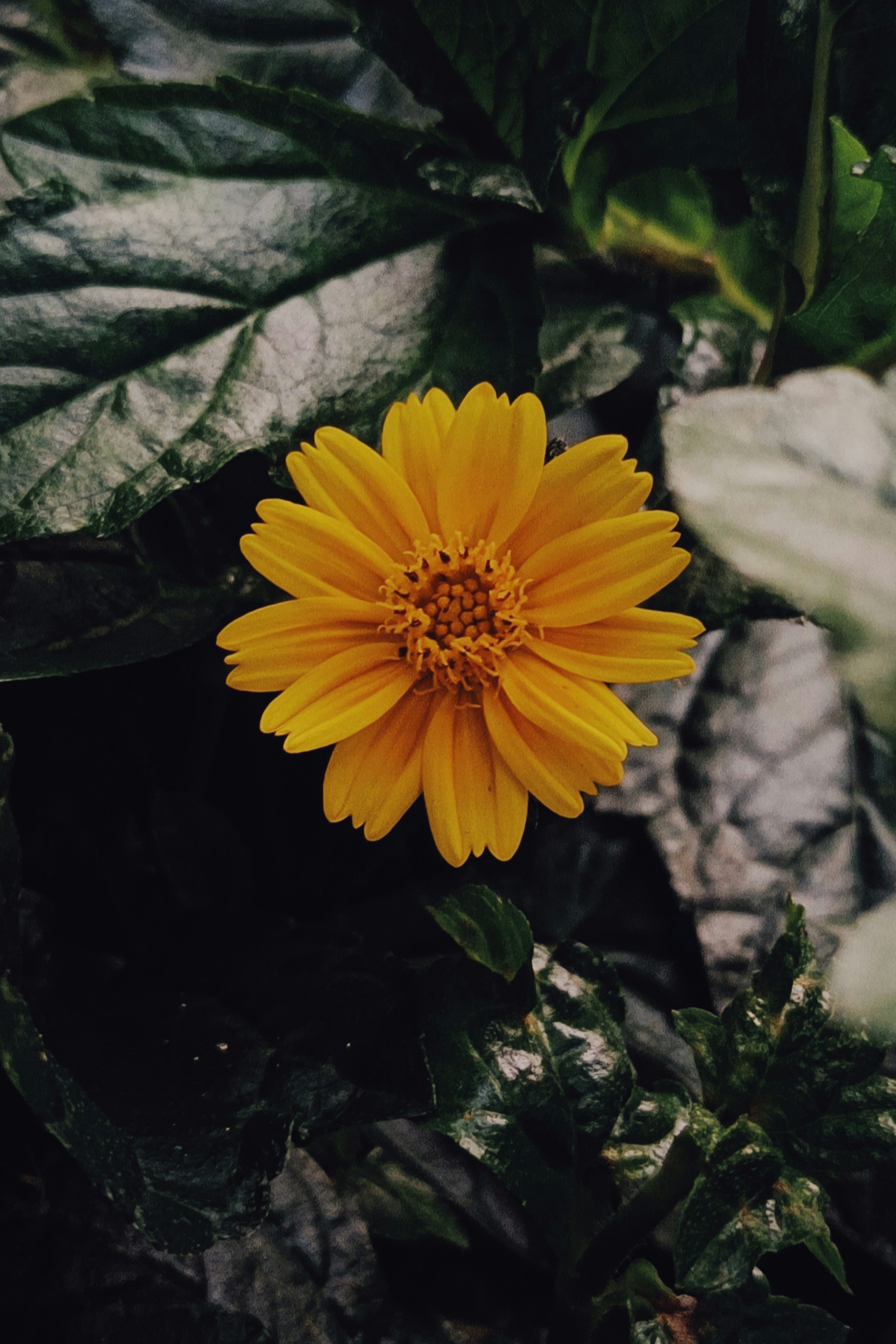 Photo by challenchan275