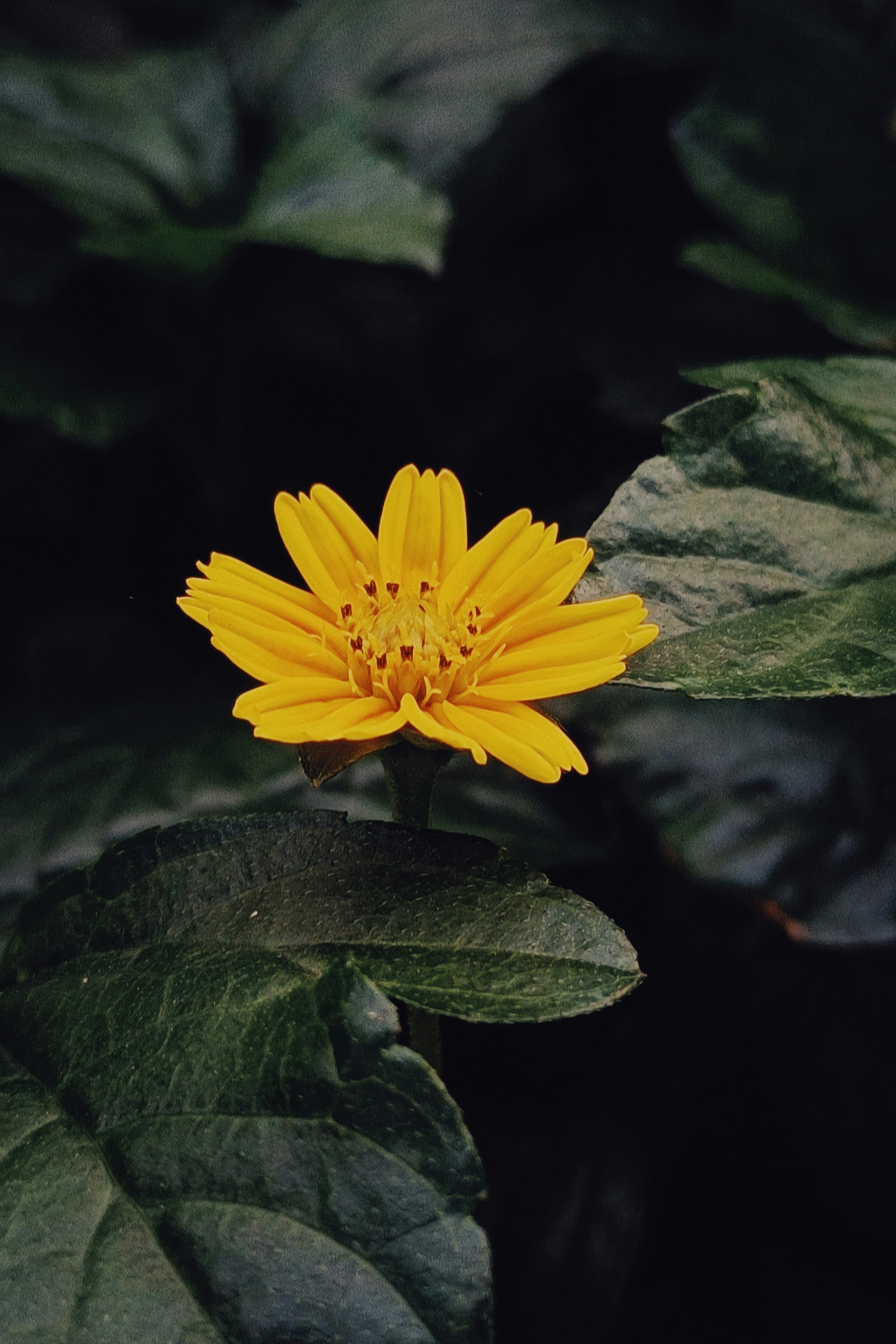 Photo by challenchan275