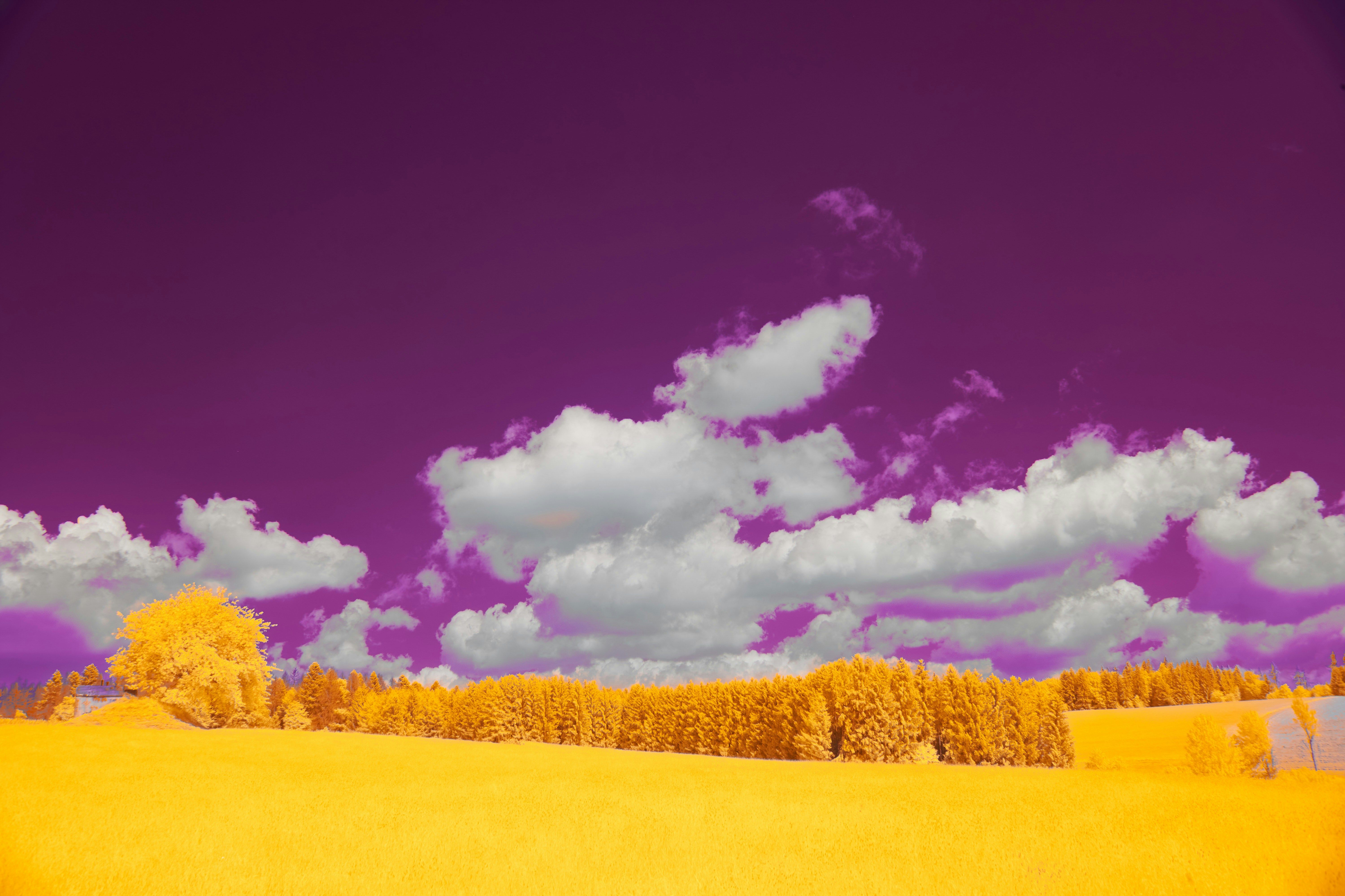 Photo by wolfgang_hasselmann