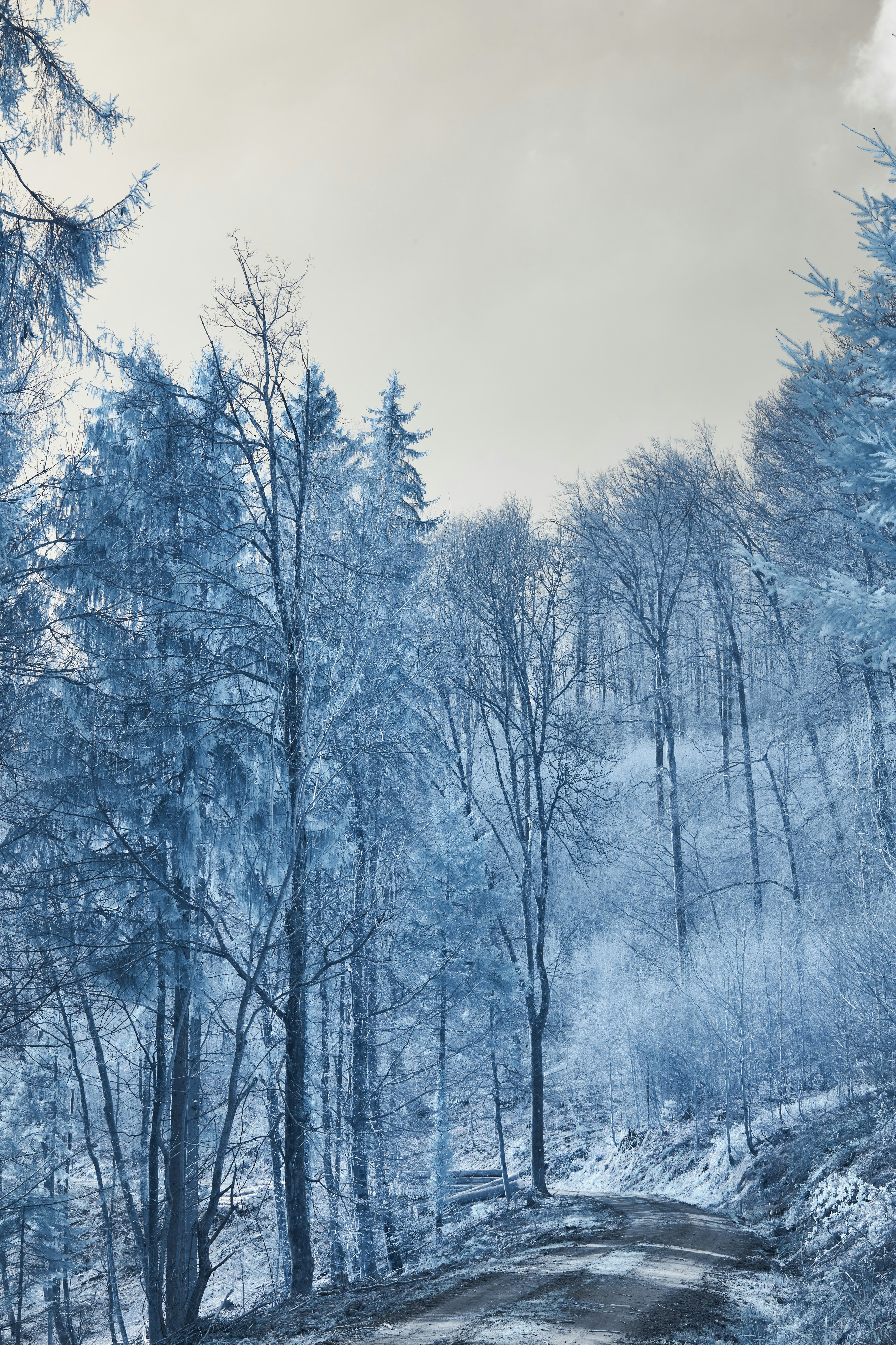 Photo by wolfgang_hasselmann