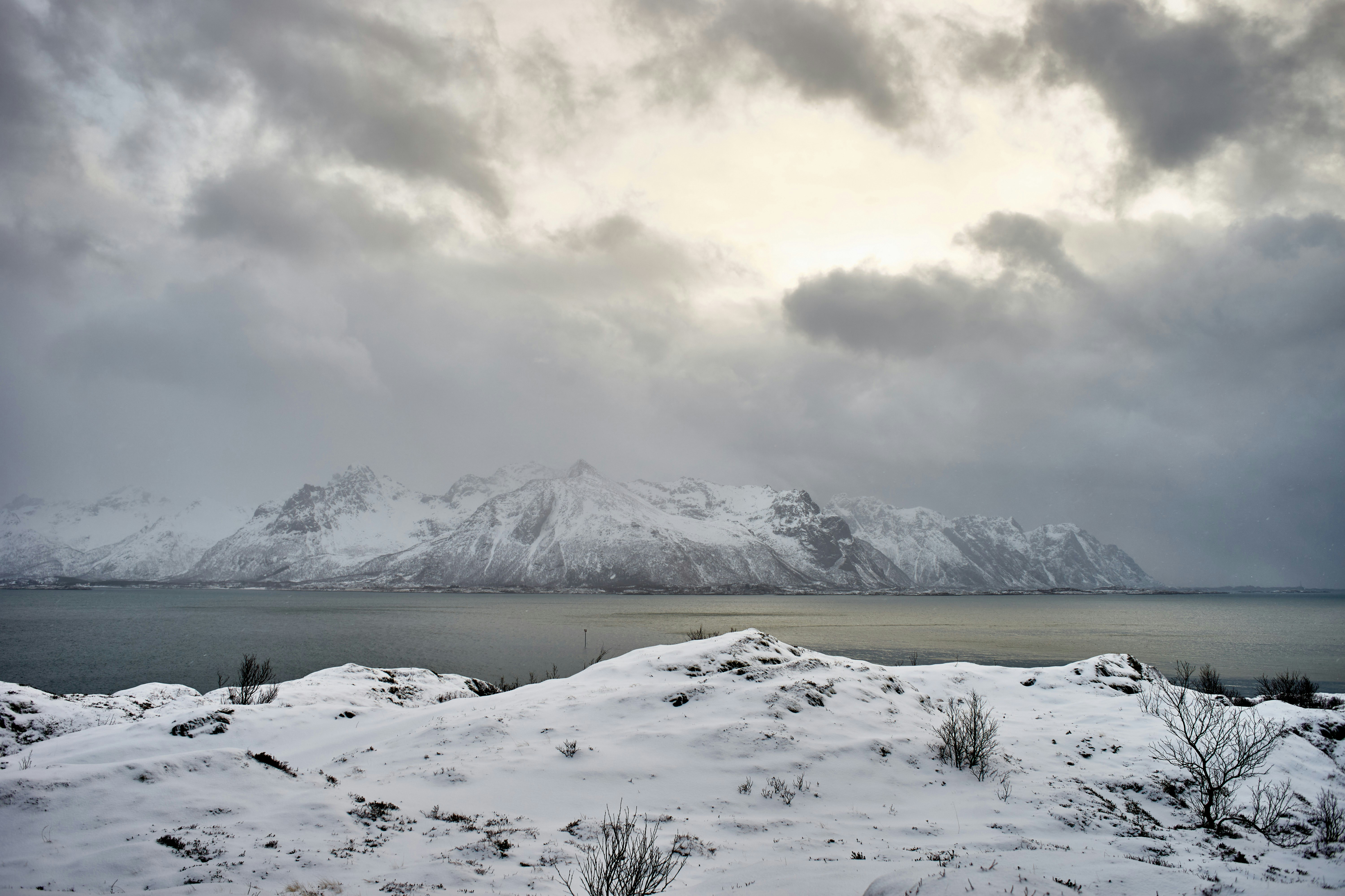 Photo by wolfgang_hasselmann