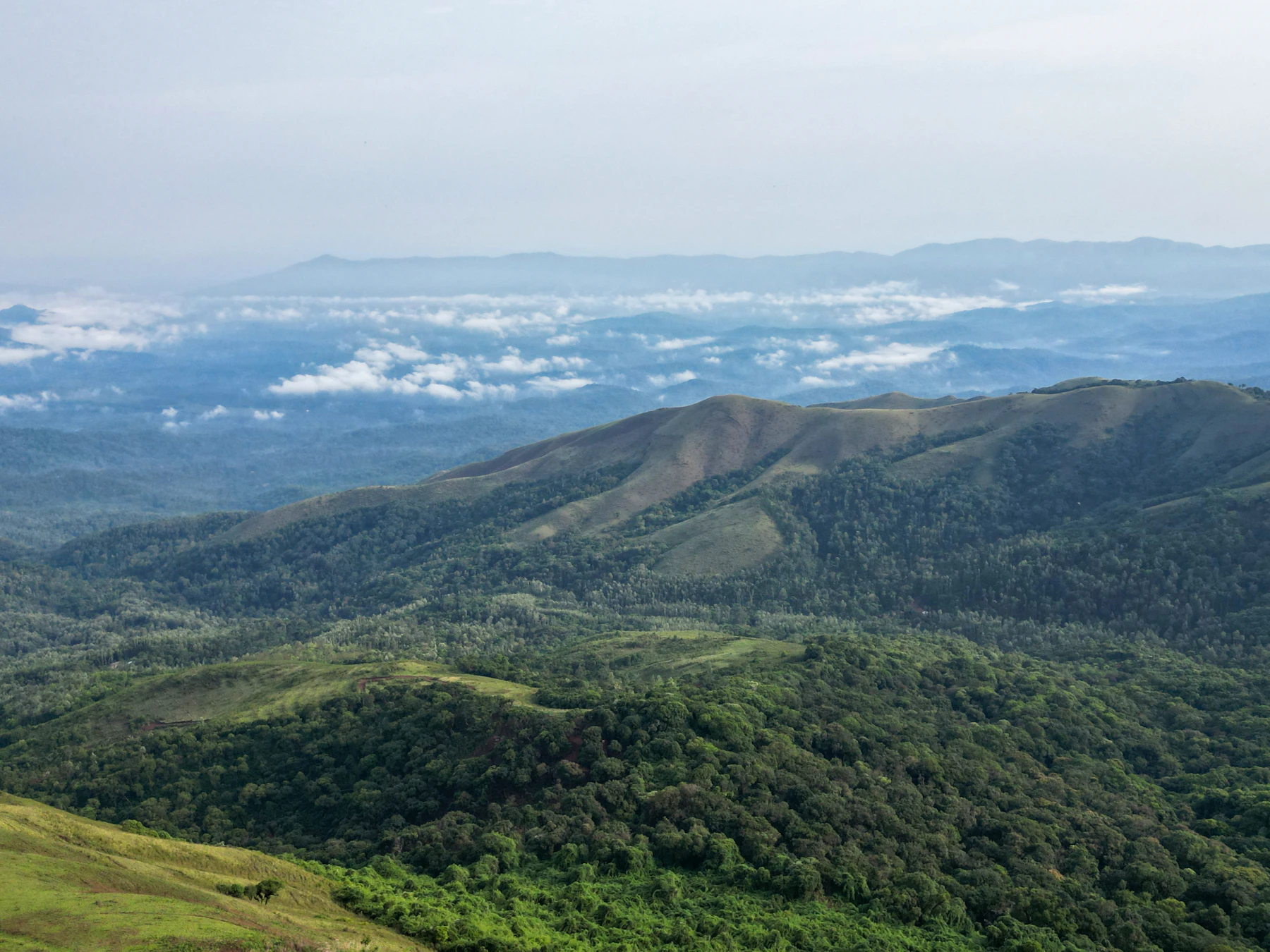 Aerial view of the Western Ghats mountain range, Karnataka