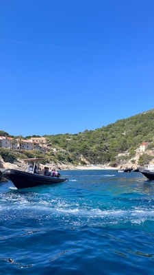 A group of people is on a boat gliding through clear, turquoise waters towards a small, sheltered beach. The coastline is lined with houses nestled among lush green hills and palm trees, under a clear blue sky.