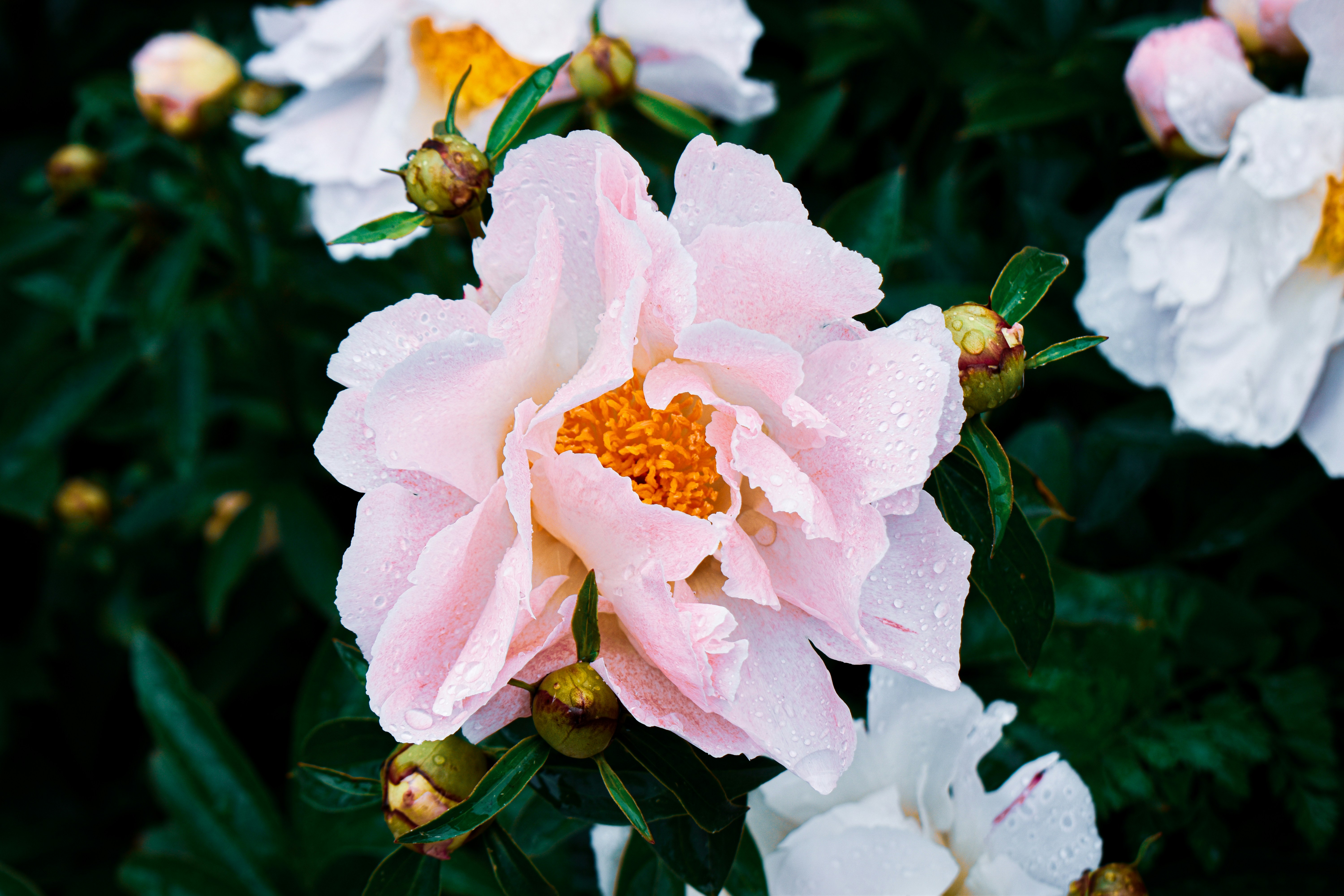 Photo by mmmkaydesign