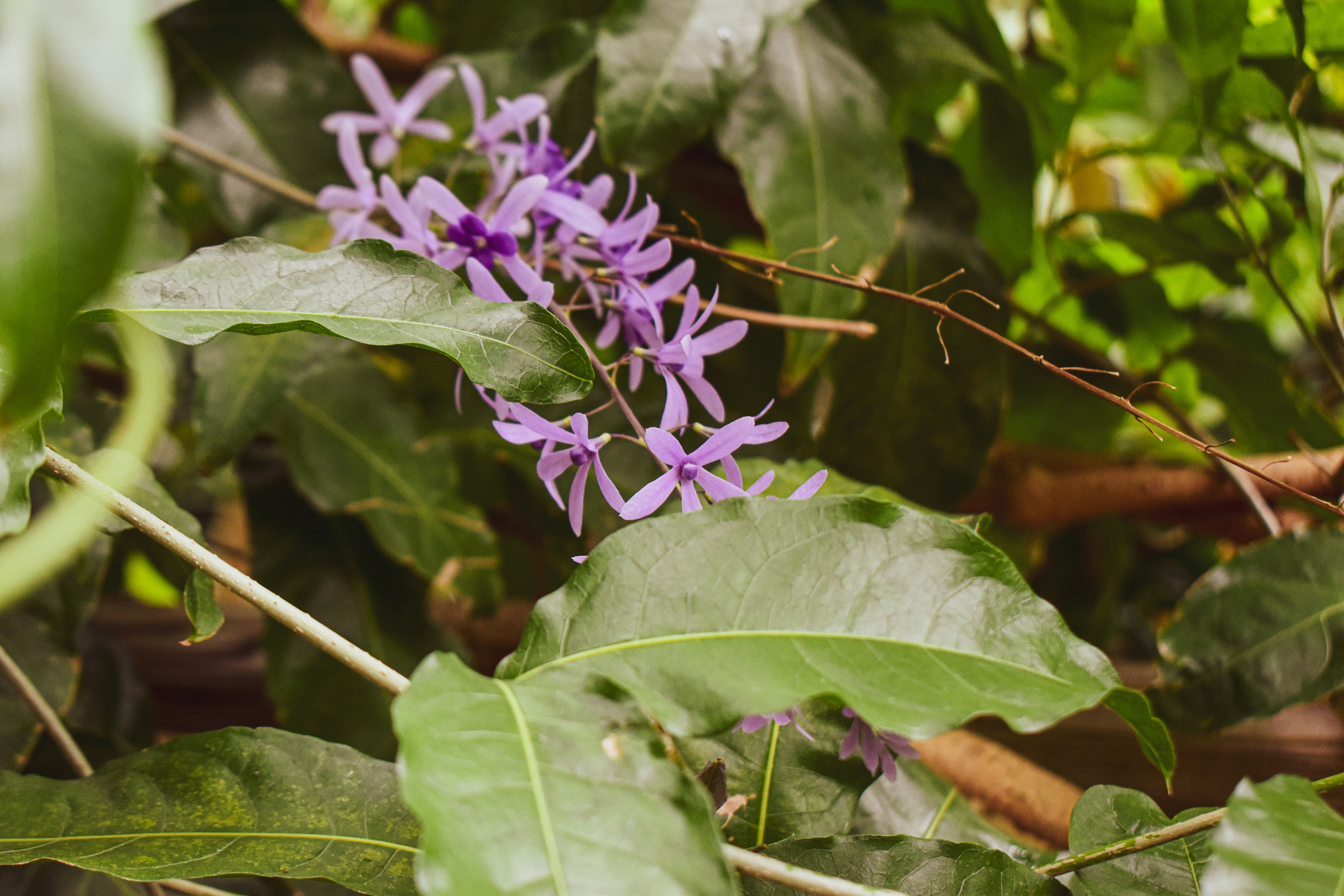 Photo by mmmkaydesign