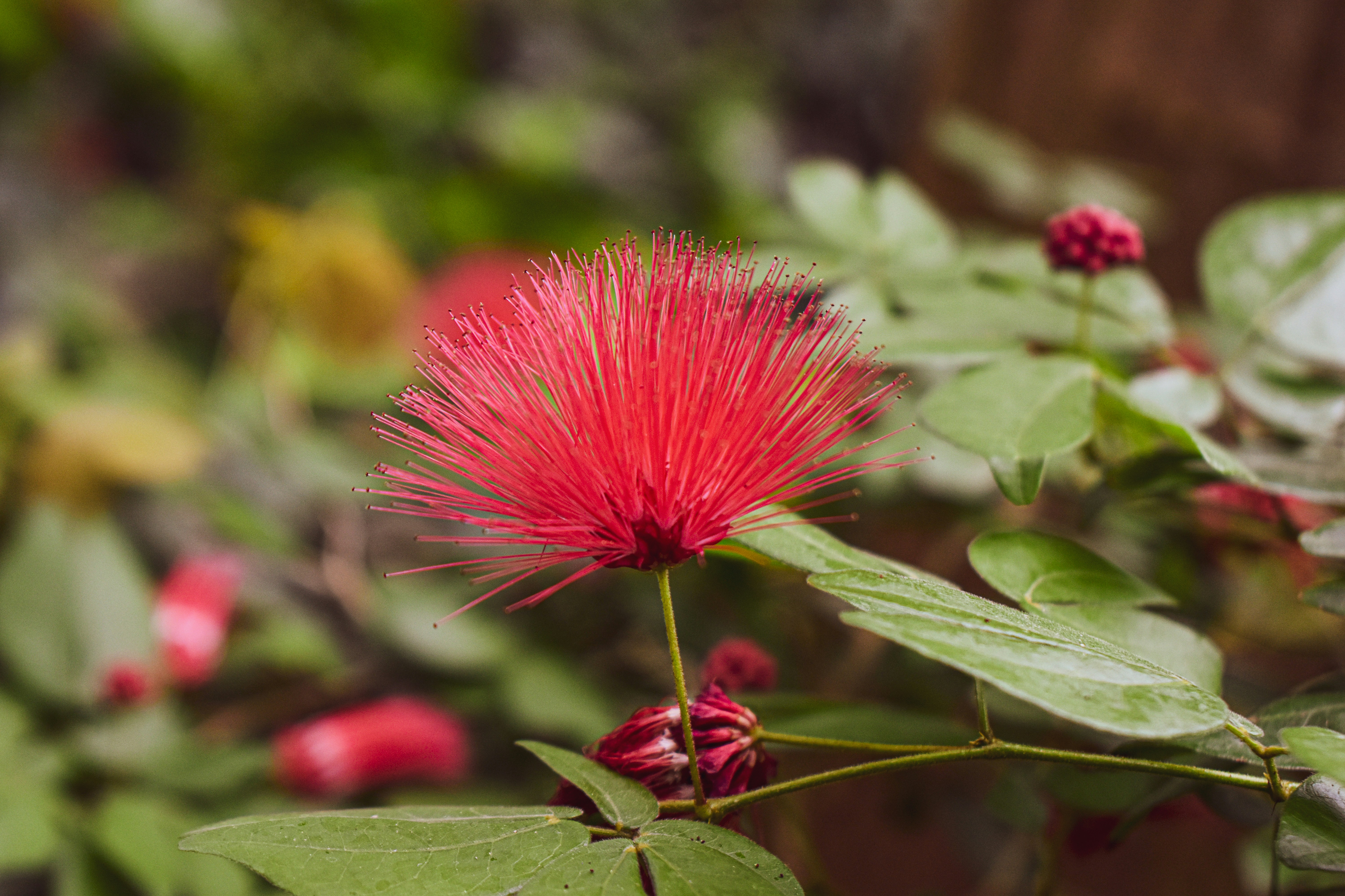 Photo by mmmkaydesign