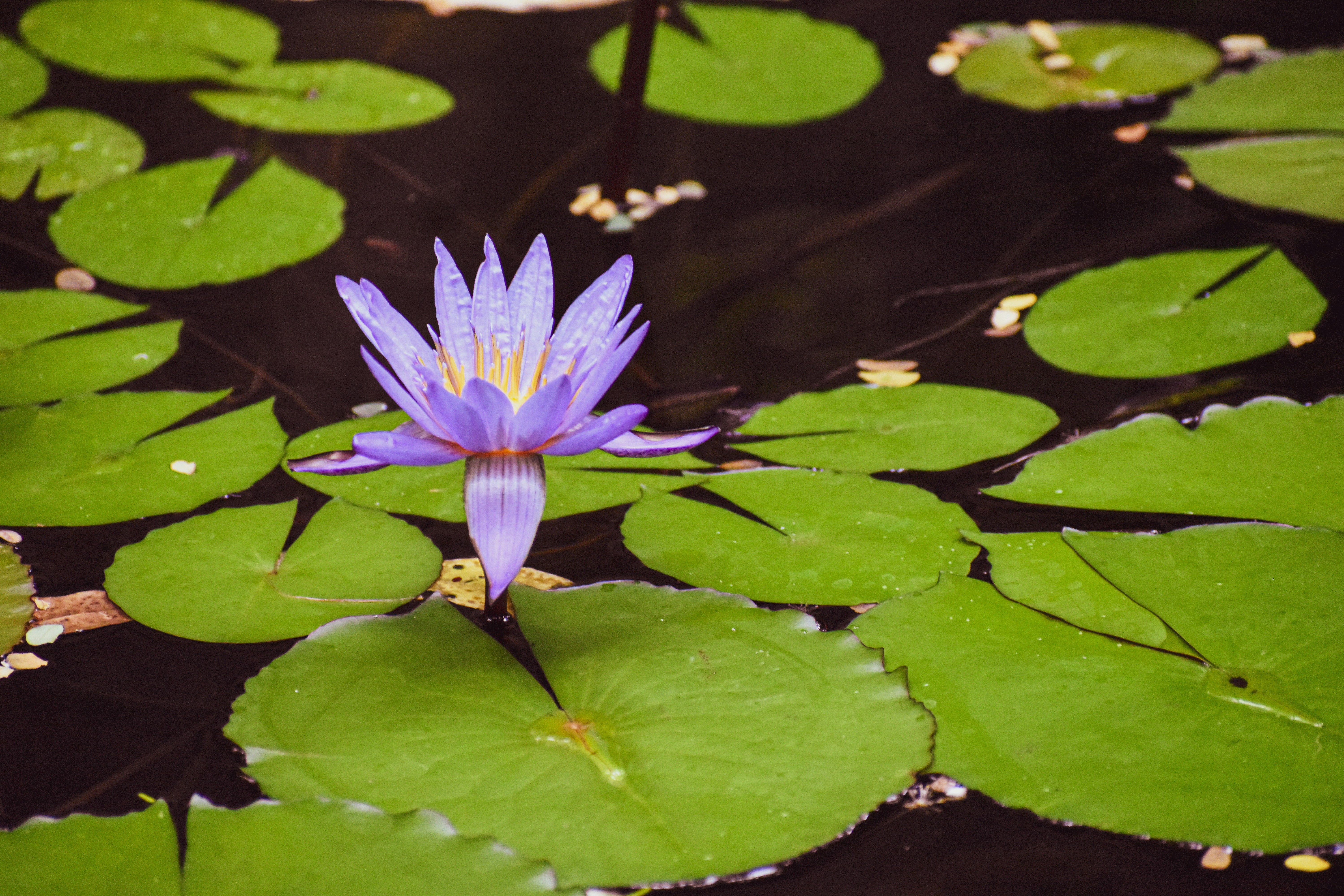 Photo by mmmkaydesign