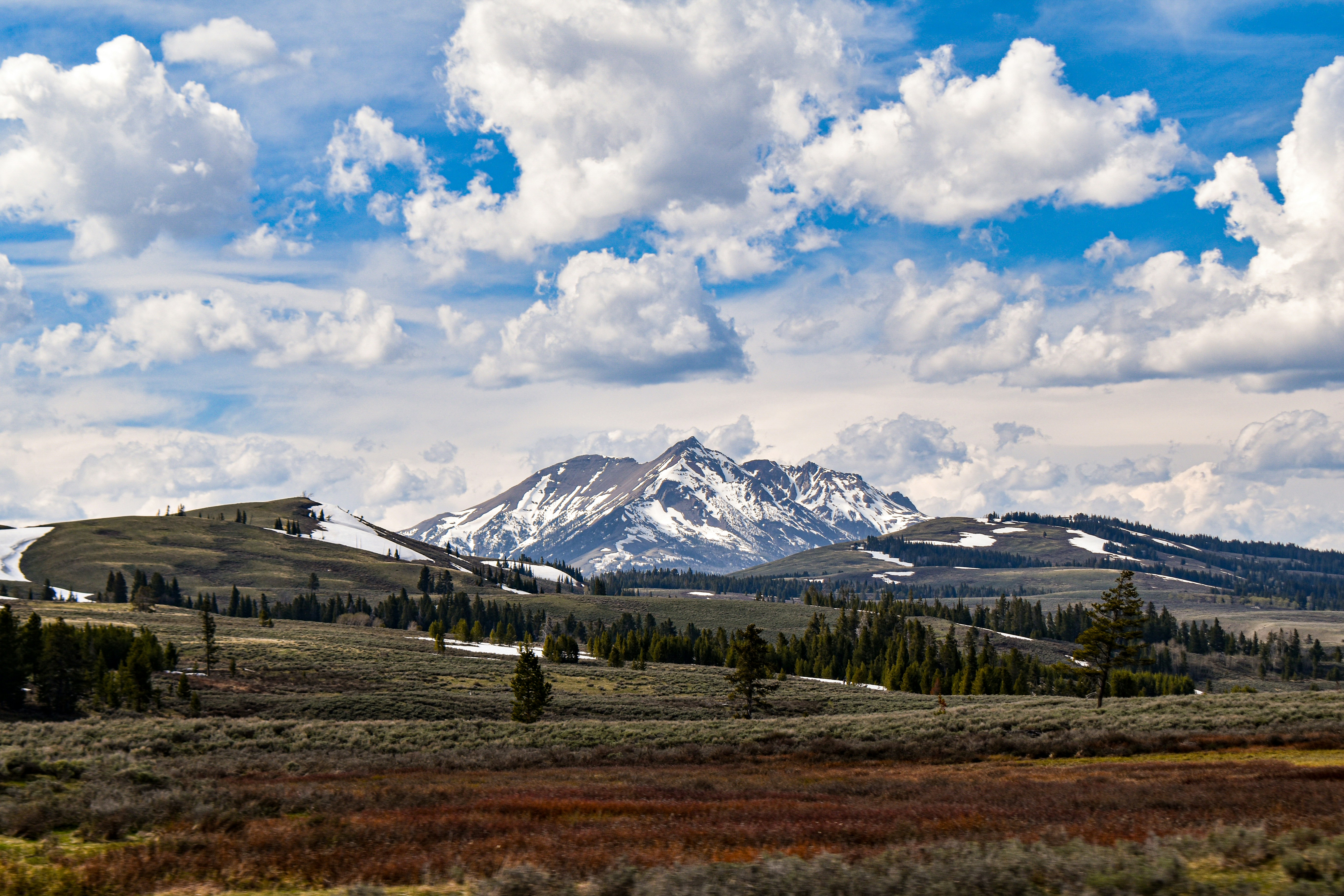 Photo by mmmkaydesign