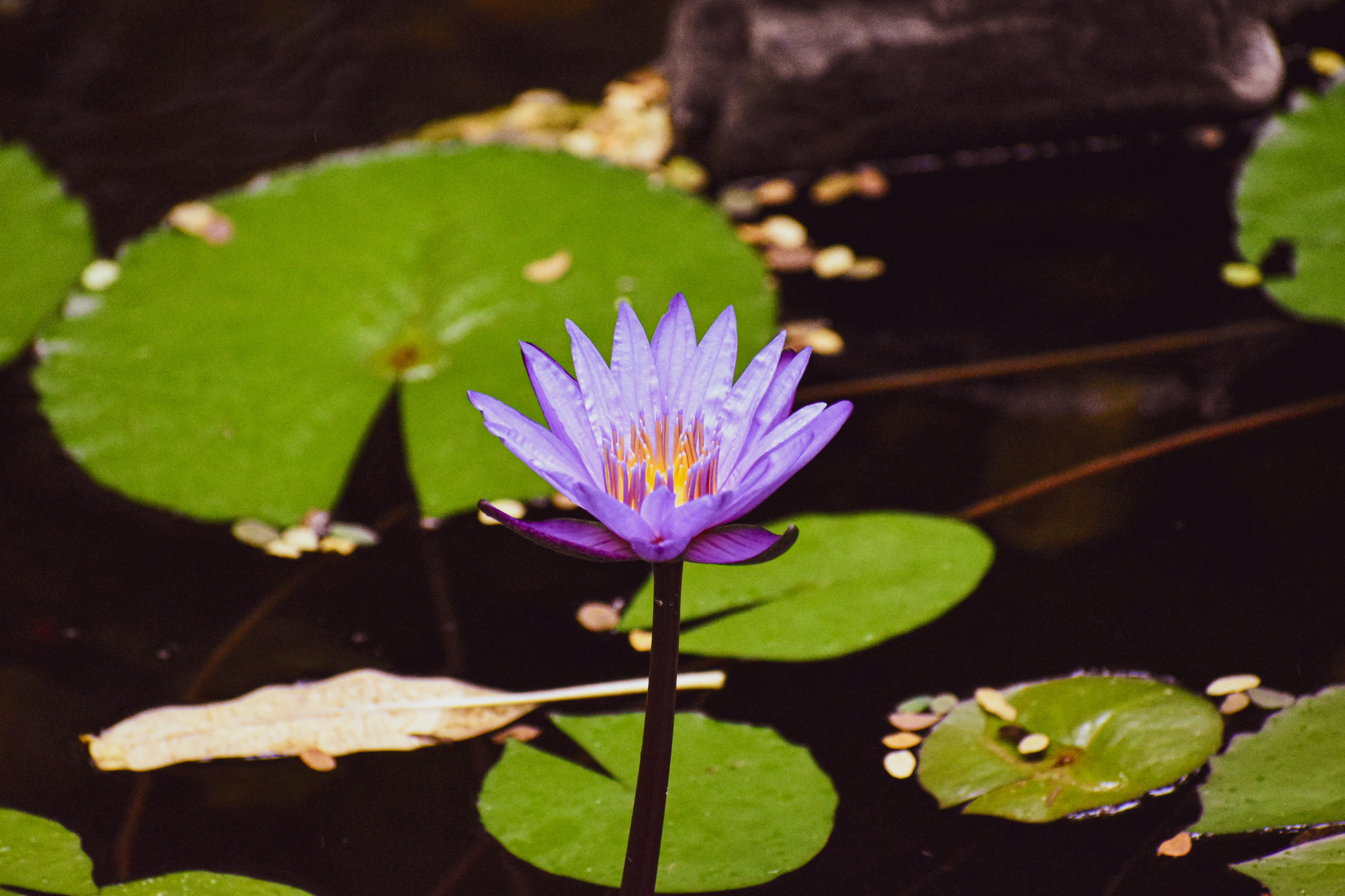 Photo by mmmkaydesign