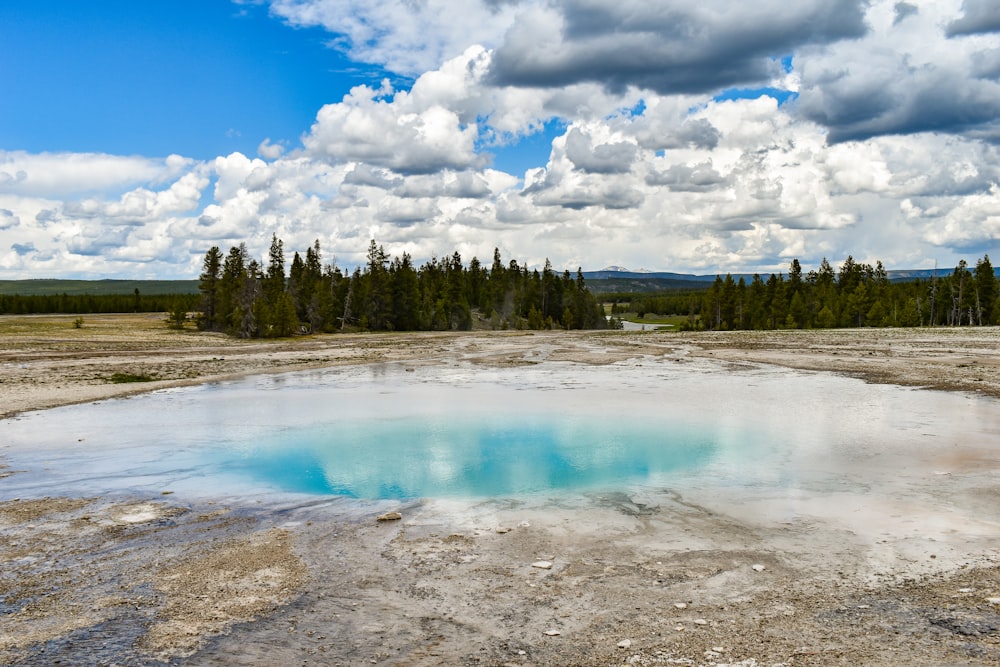 a large pool of water surrounded by trees