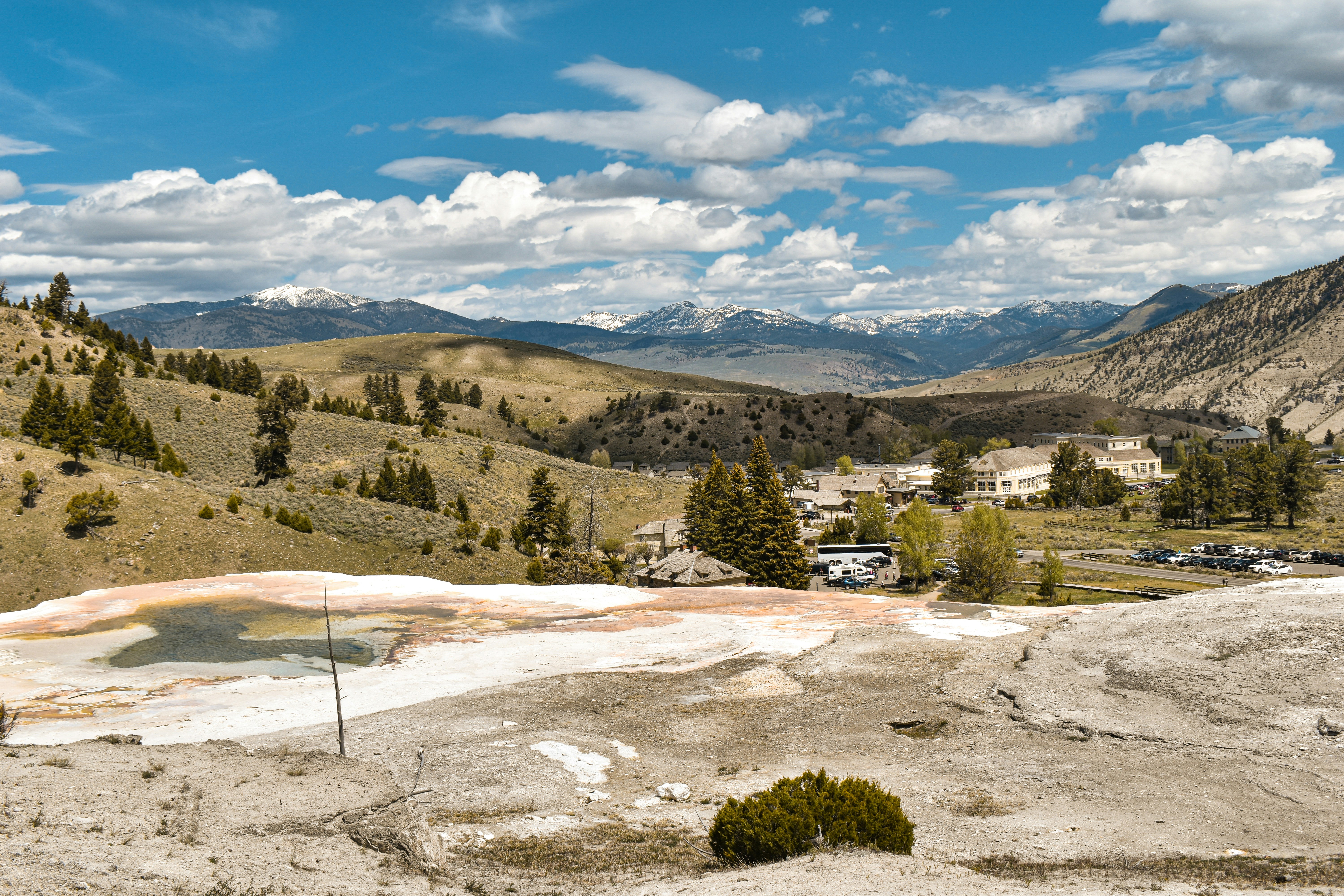 Occidental Wildlife Management Area