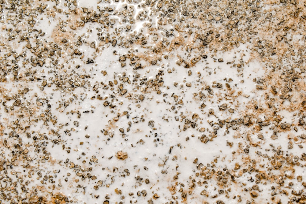 a close up of a brown and white substance