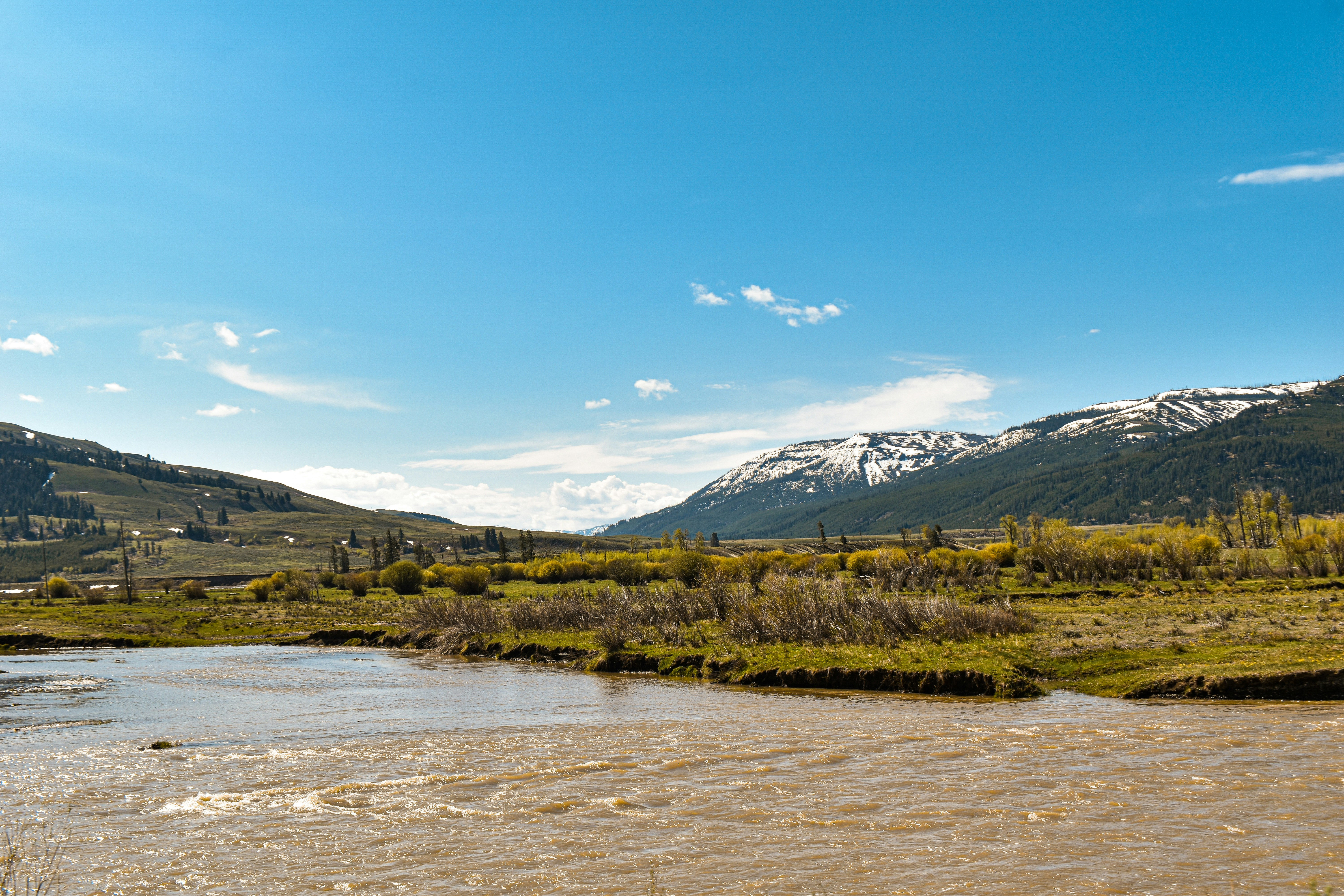 a river running through a lush green valley