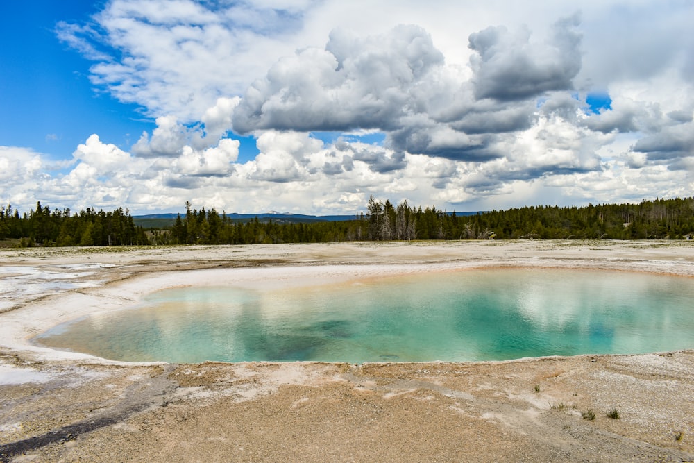 a large pool of water surrounded by a forest