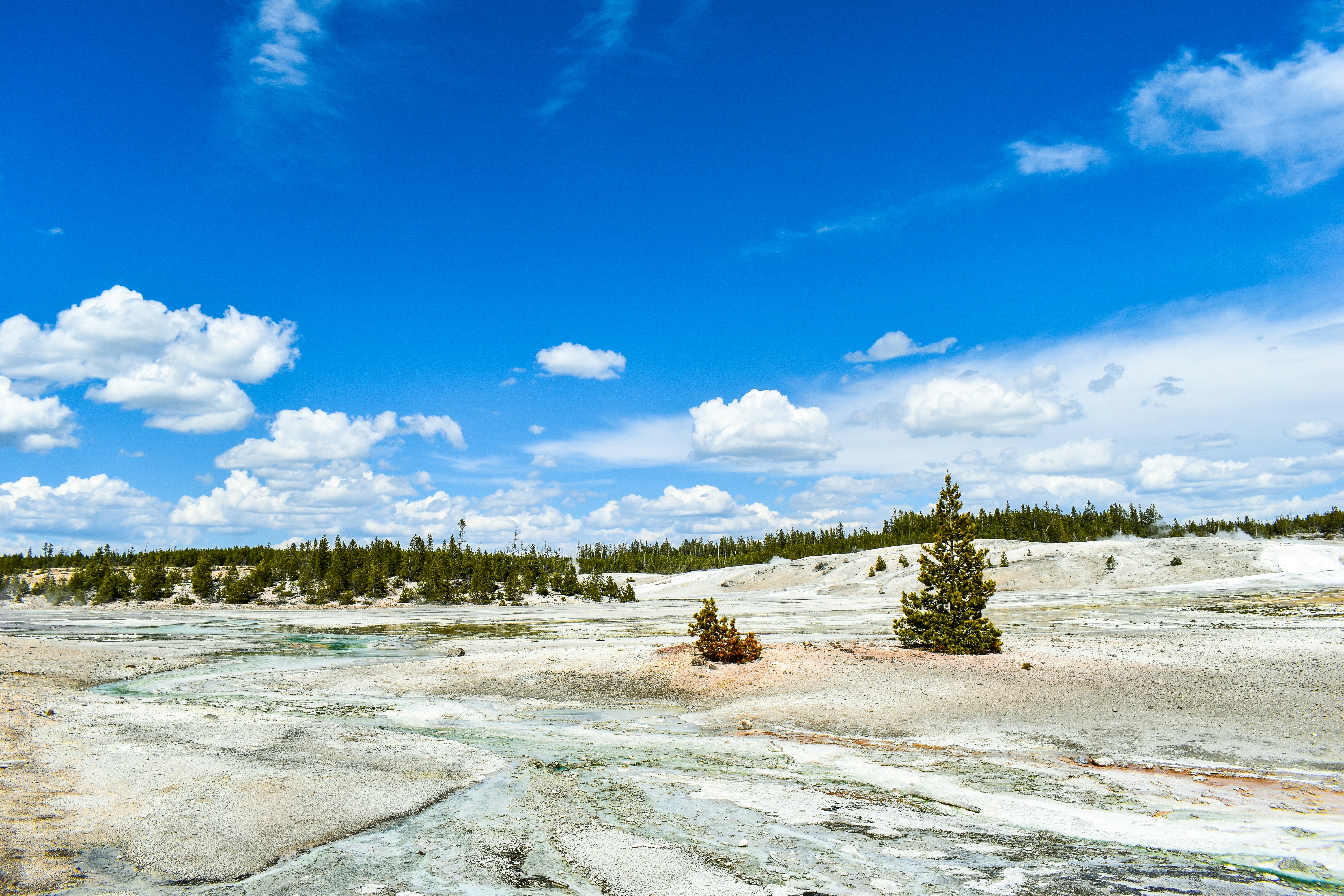 Photo by mmmkaydesign