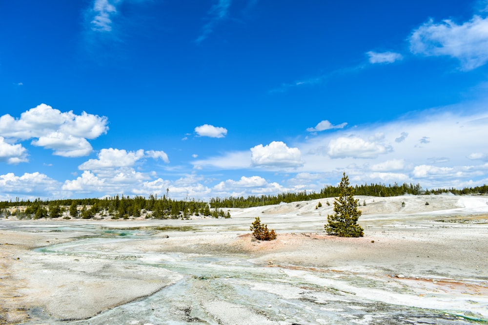 a blue sky with white clouds and some trees