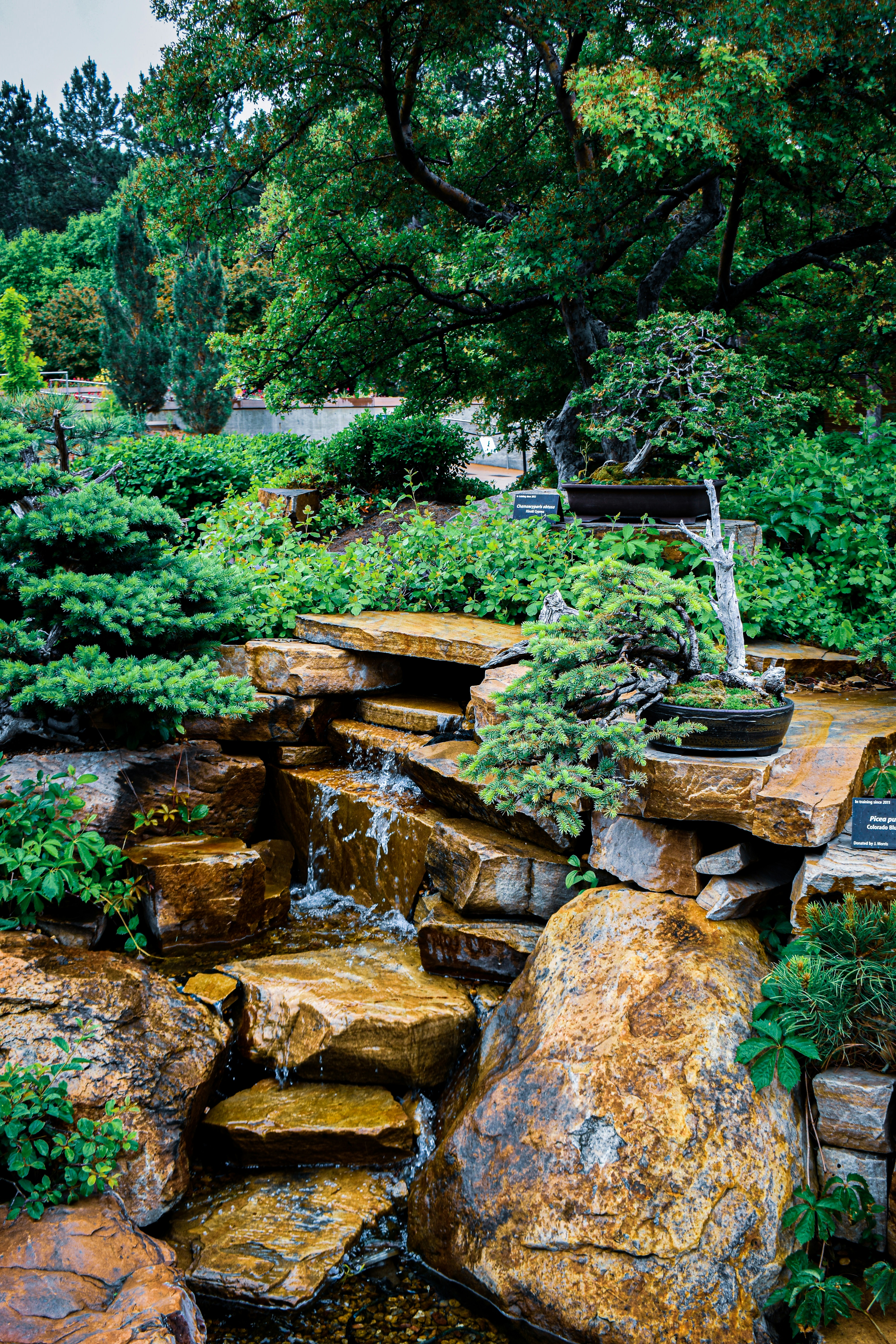 Photo by mmmkaydesign