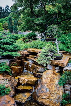 A serene garden scene featuring a natural rock waterfall surrounded by abundant greenery and a large tree providing shade. Bonsai plants are placed on different levels of the rock formation, enhancing the tranquil atmosphere.