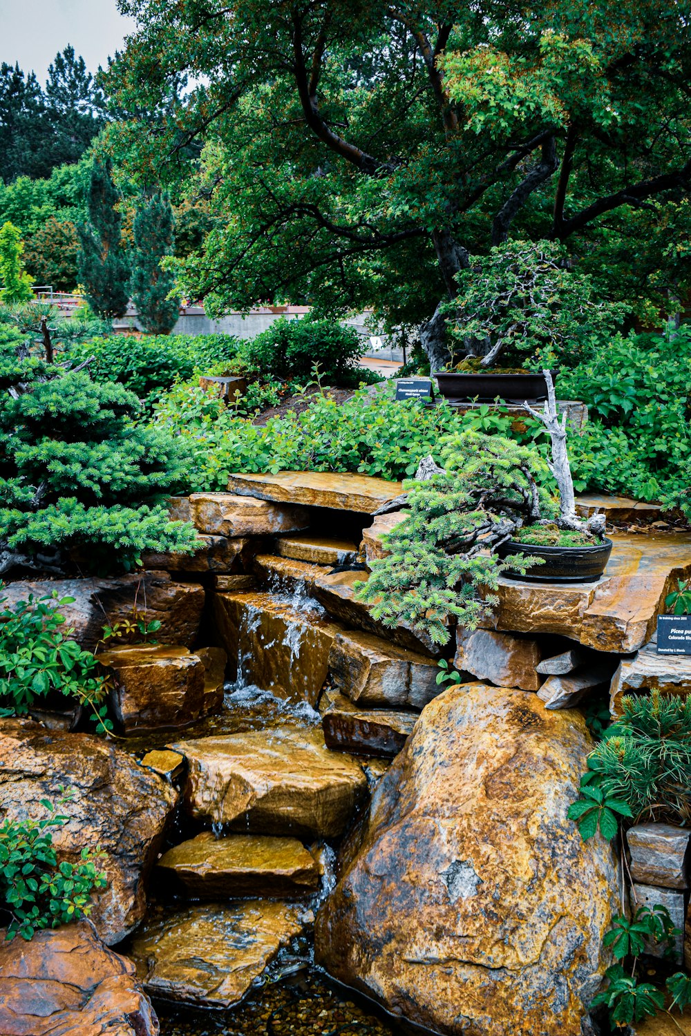 a garden with rocks and plants and a pond