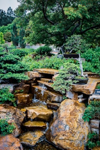 Mindful Living