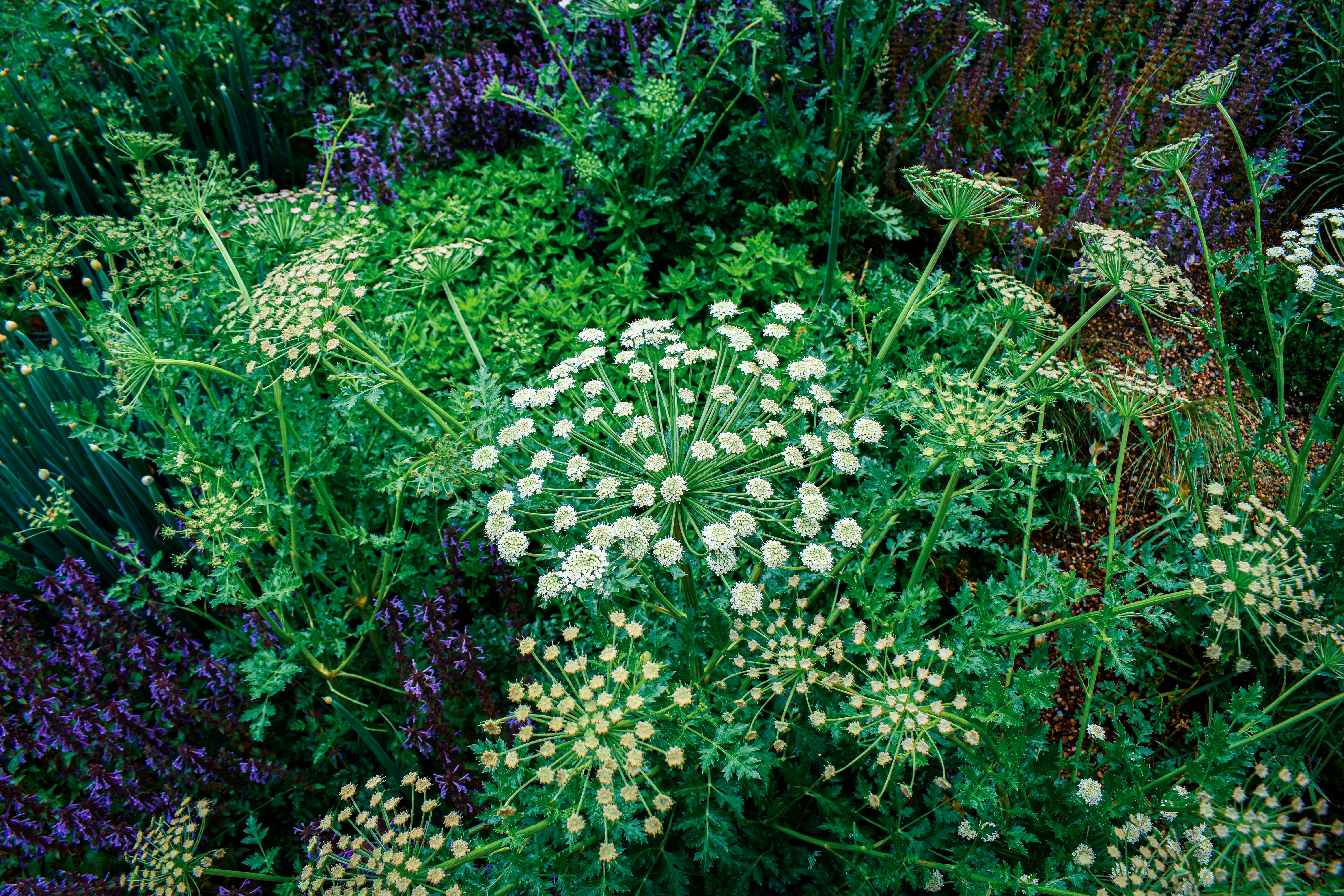 Photo by mmmkaydesign