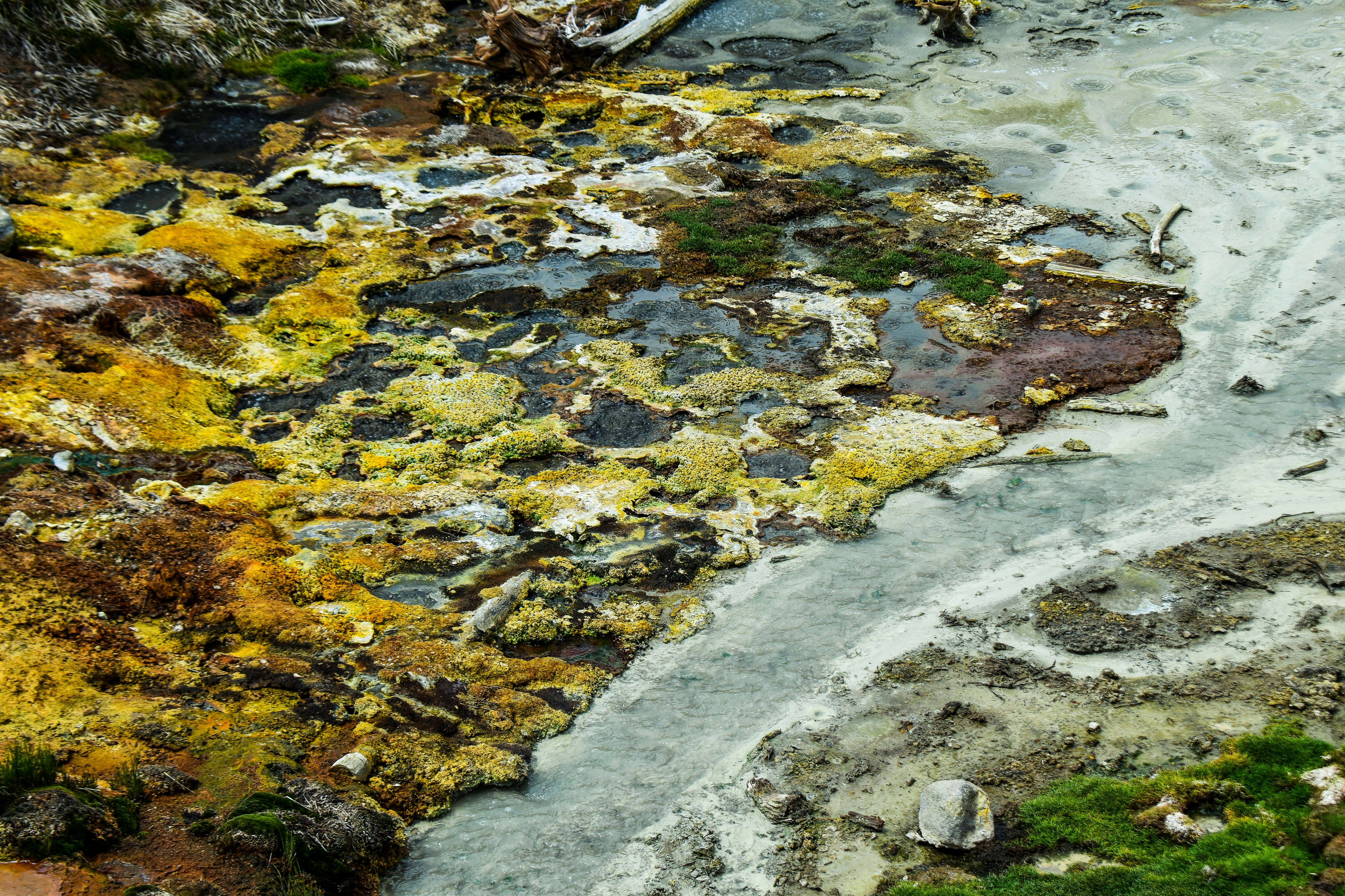 Photo by mmmkaydesign