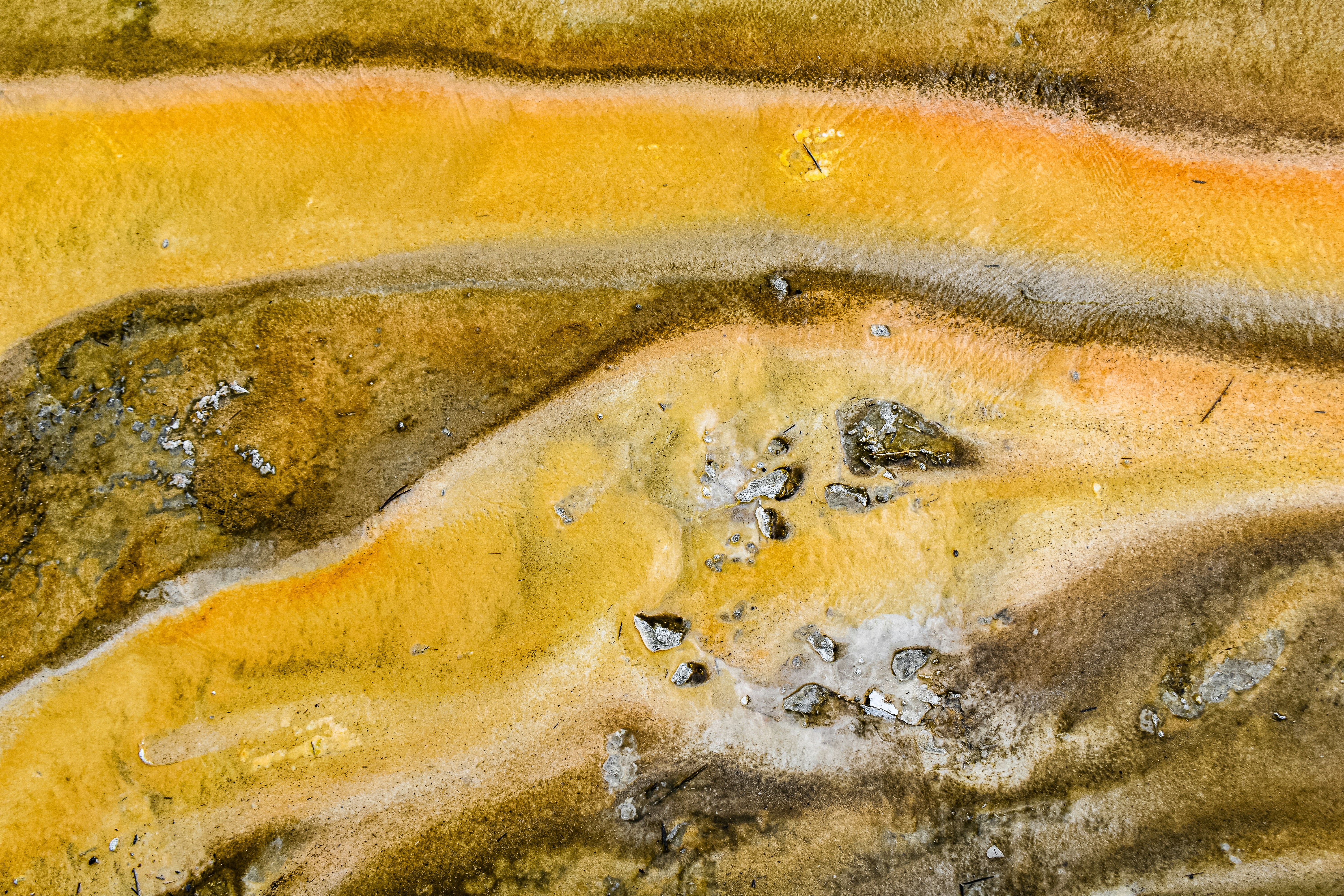 un primo piano di una sostanza gialla e marrone