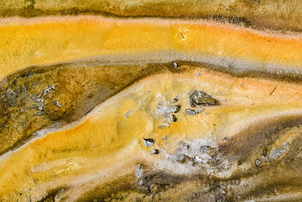 a close up of a yellow and brown substance