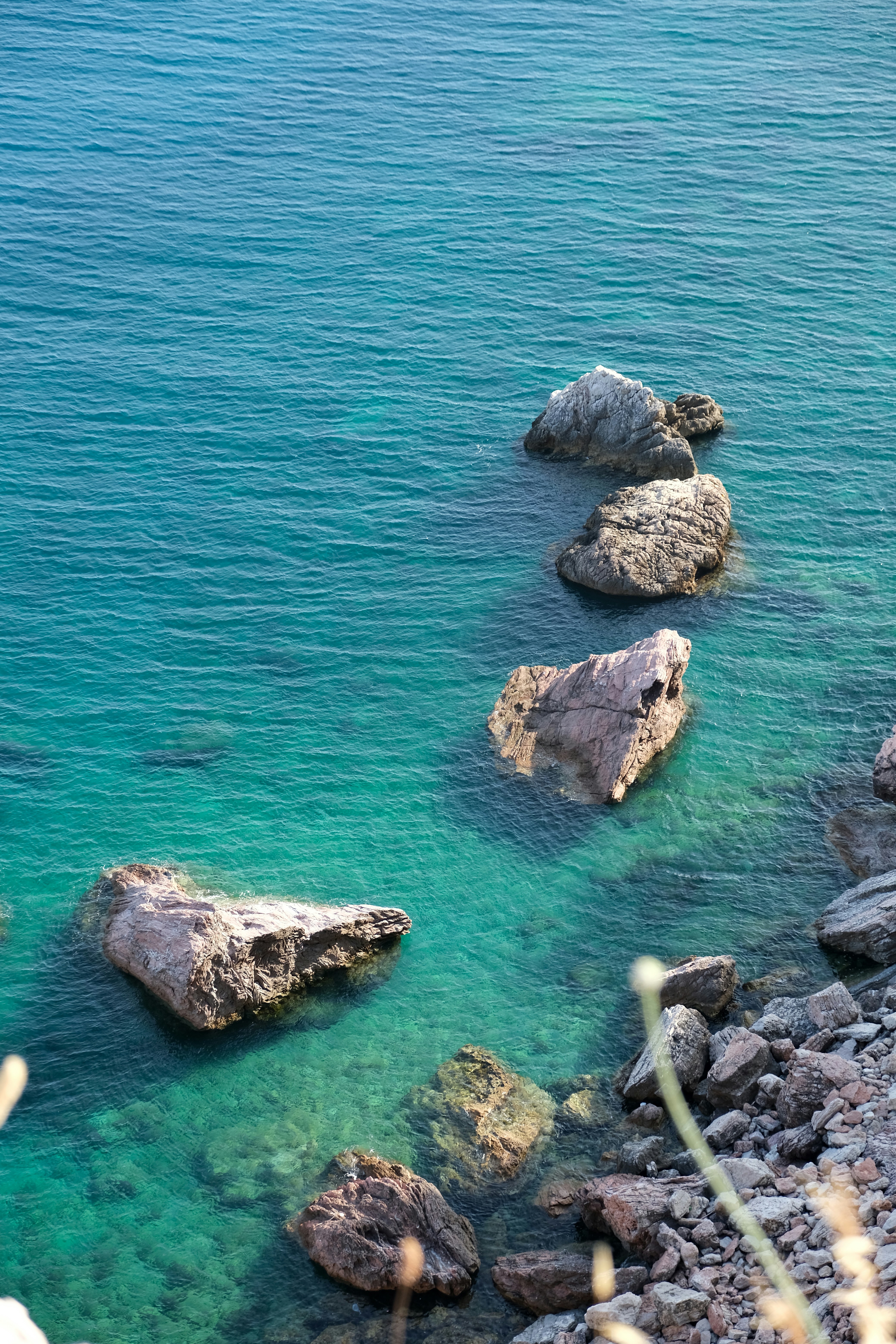 Photo by alexxingplus