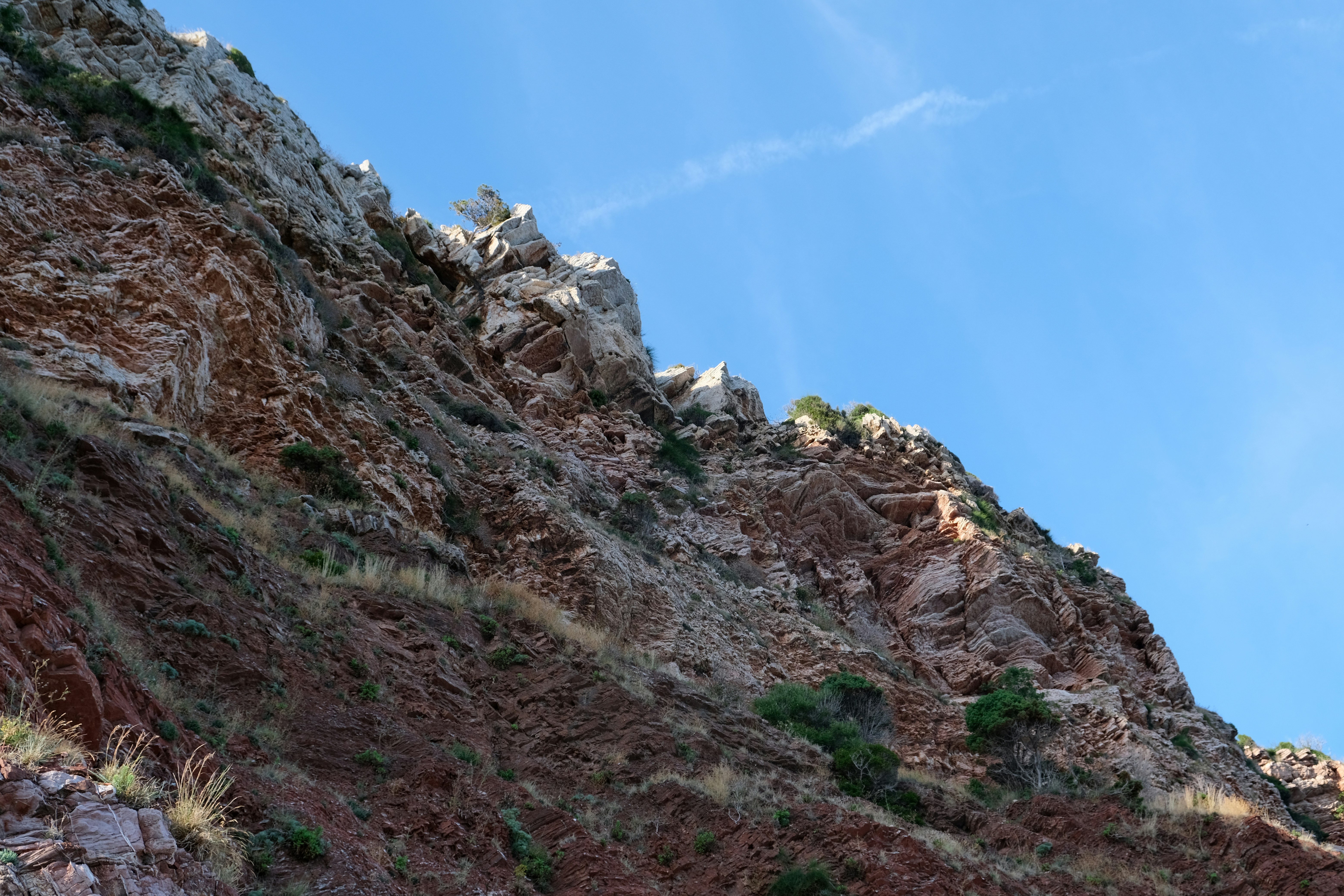 Photo by alexxingplus