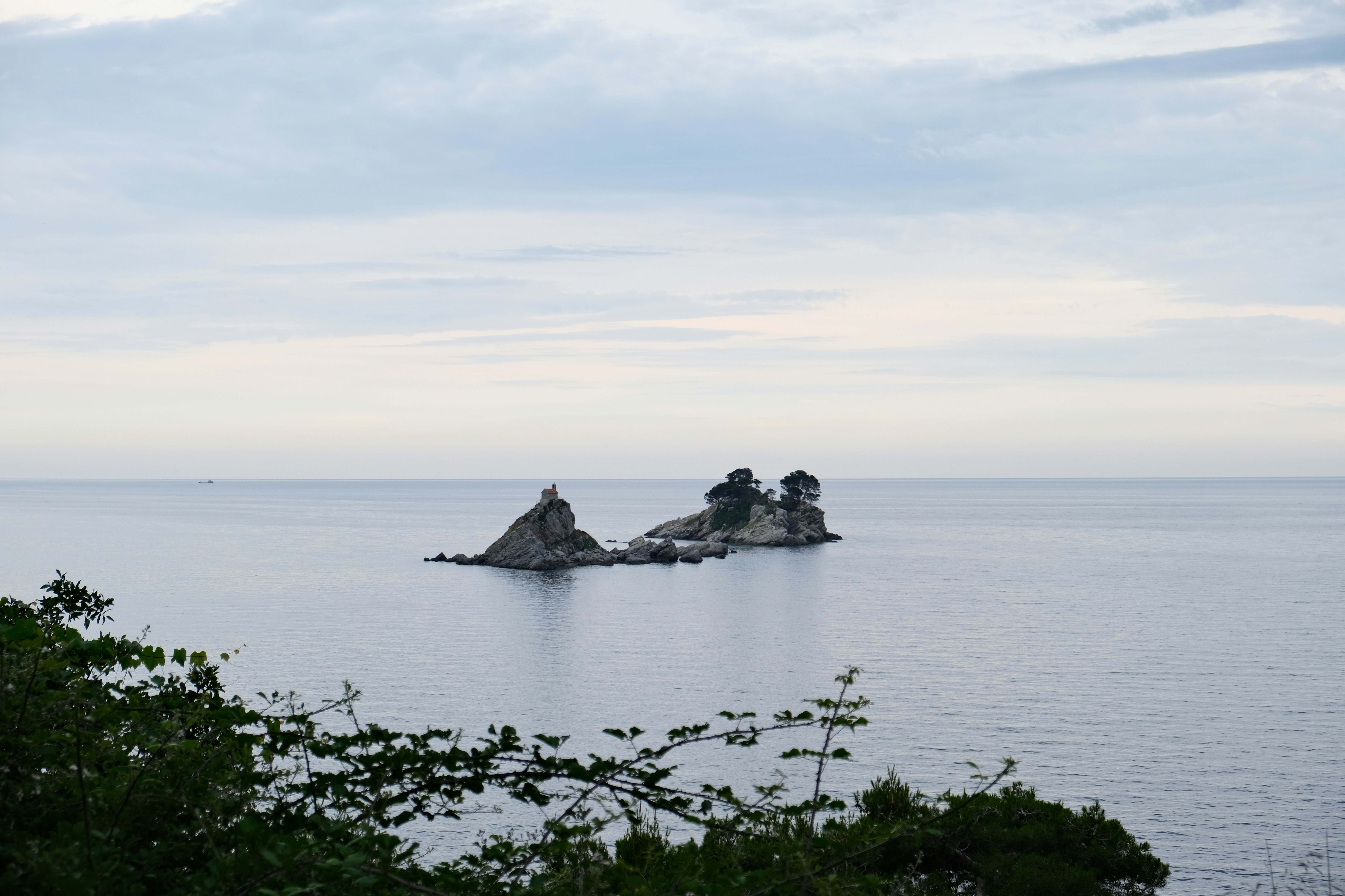 Photo by alexxingplus