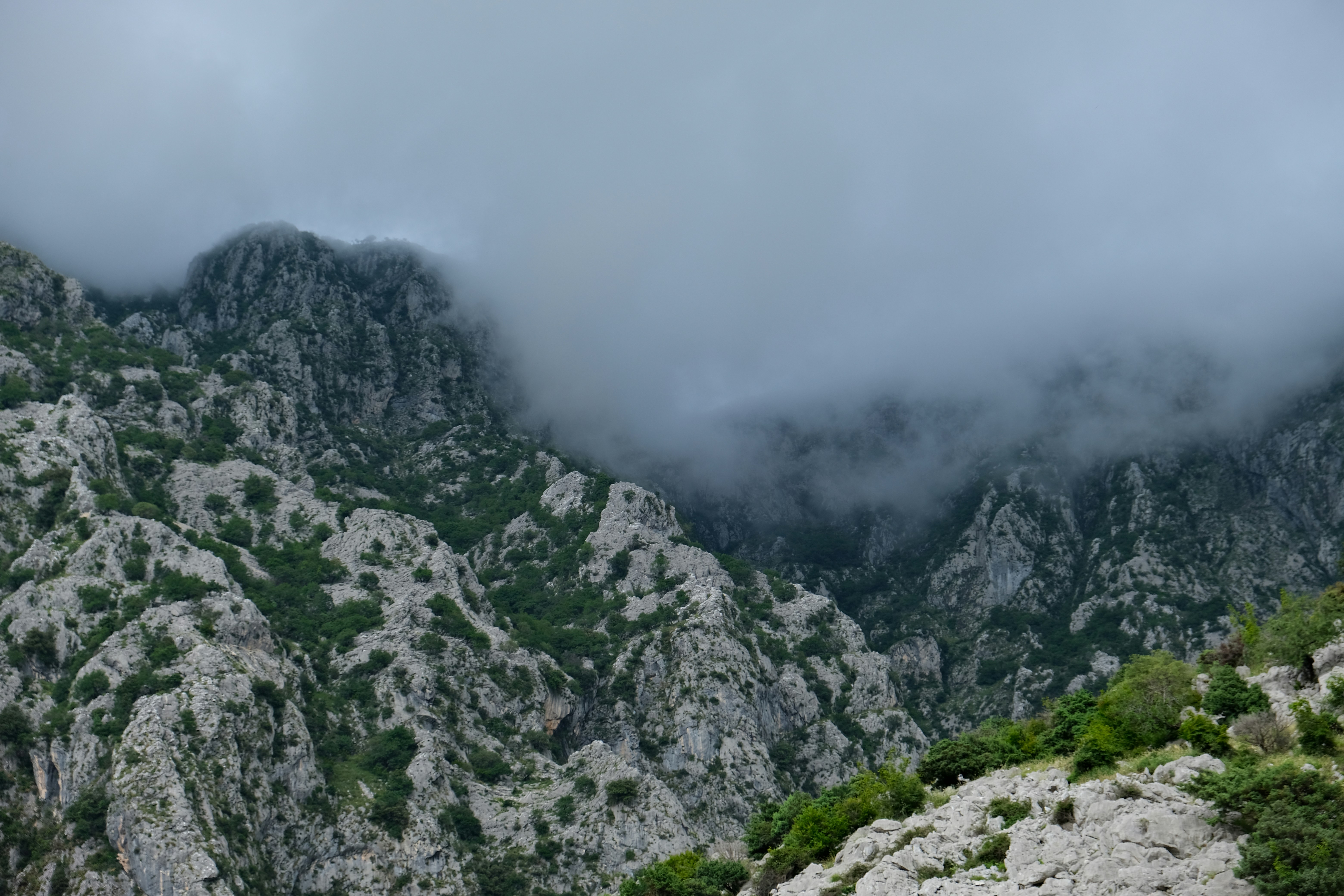 Photo by alexxingplus