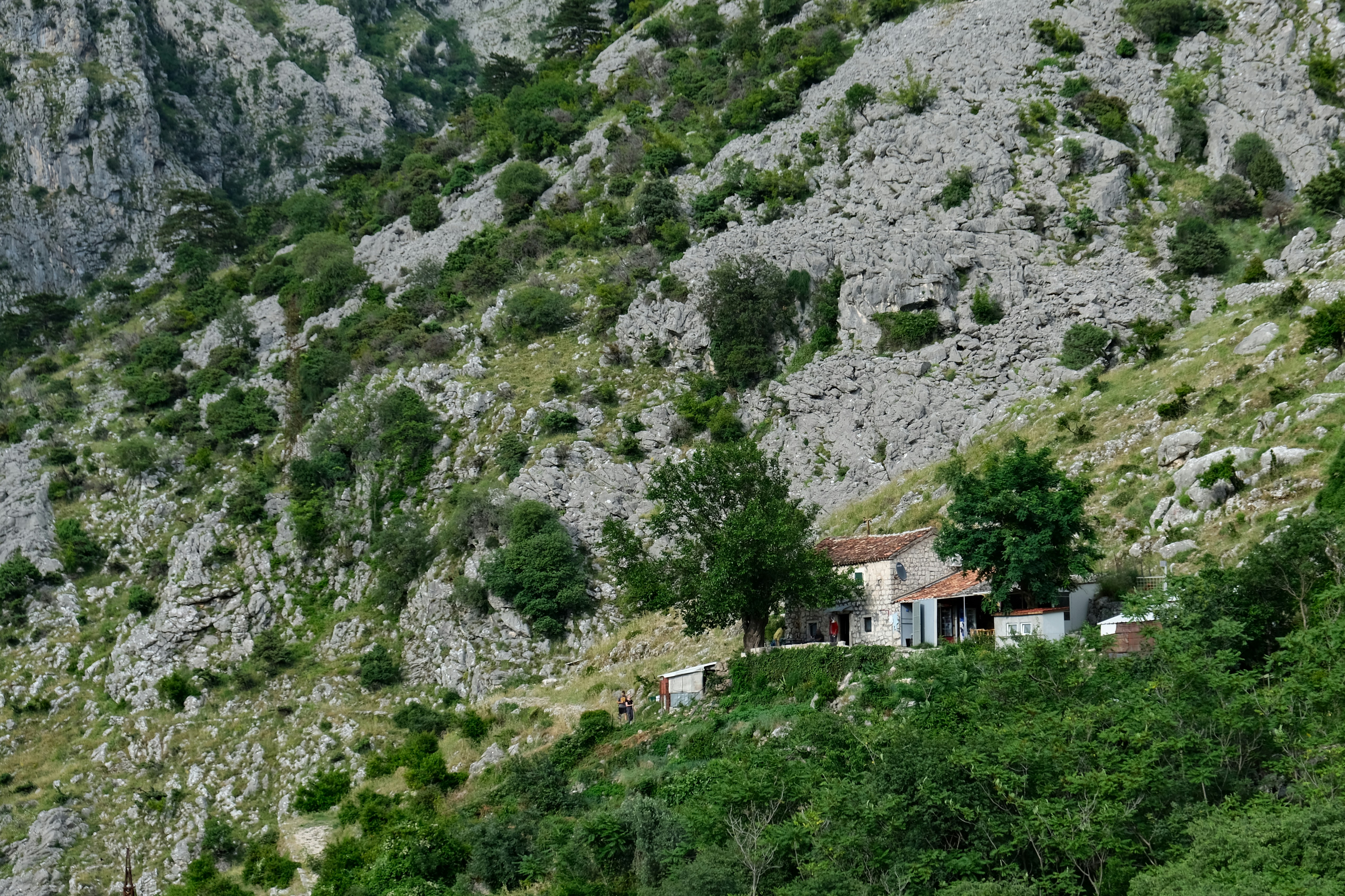 Photo by alexxingplus