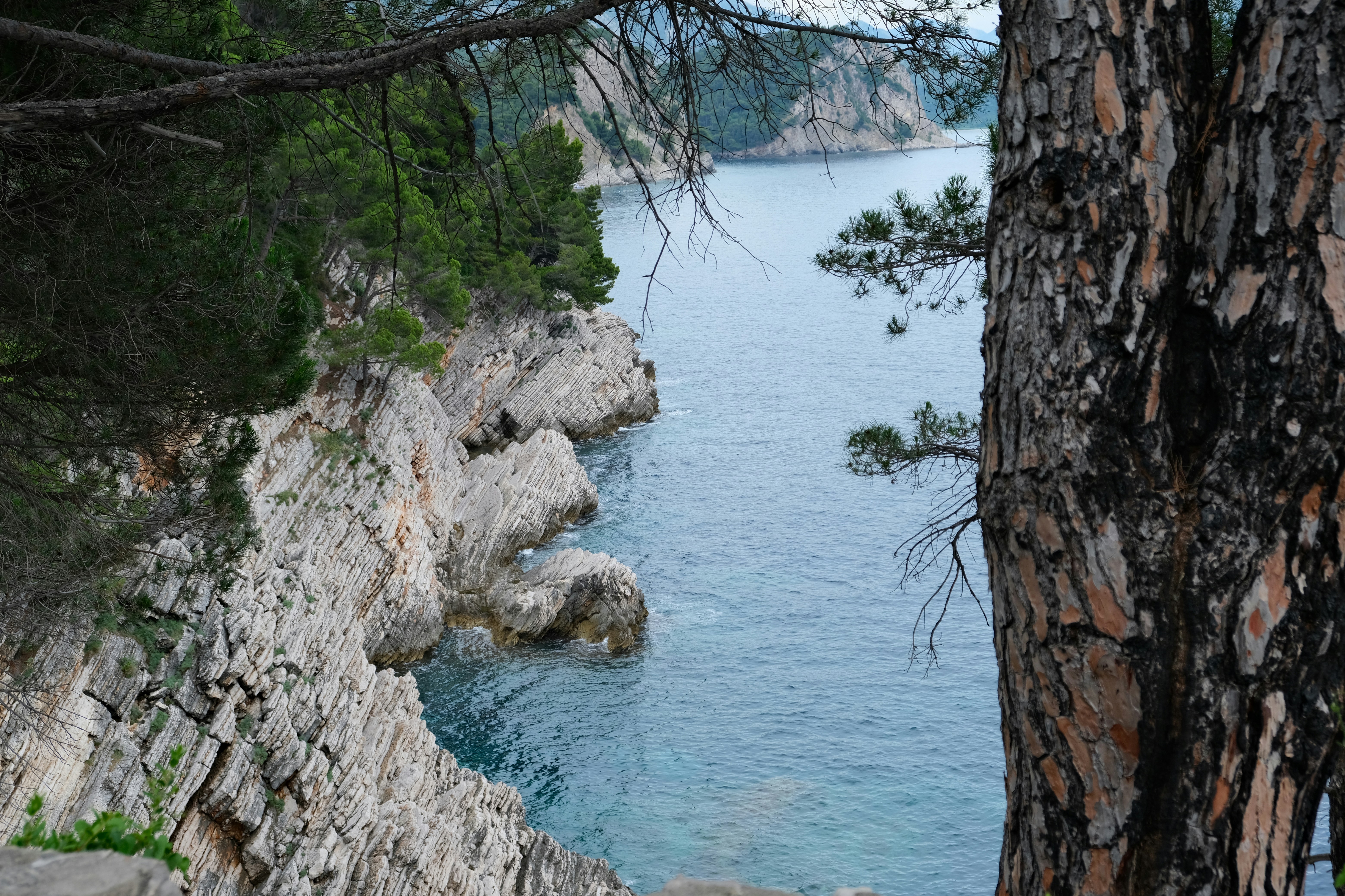 Photo by alexxingplus