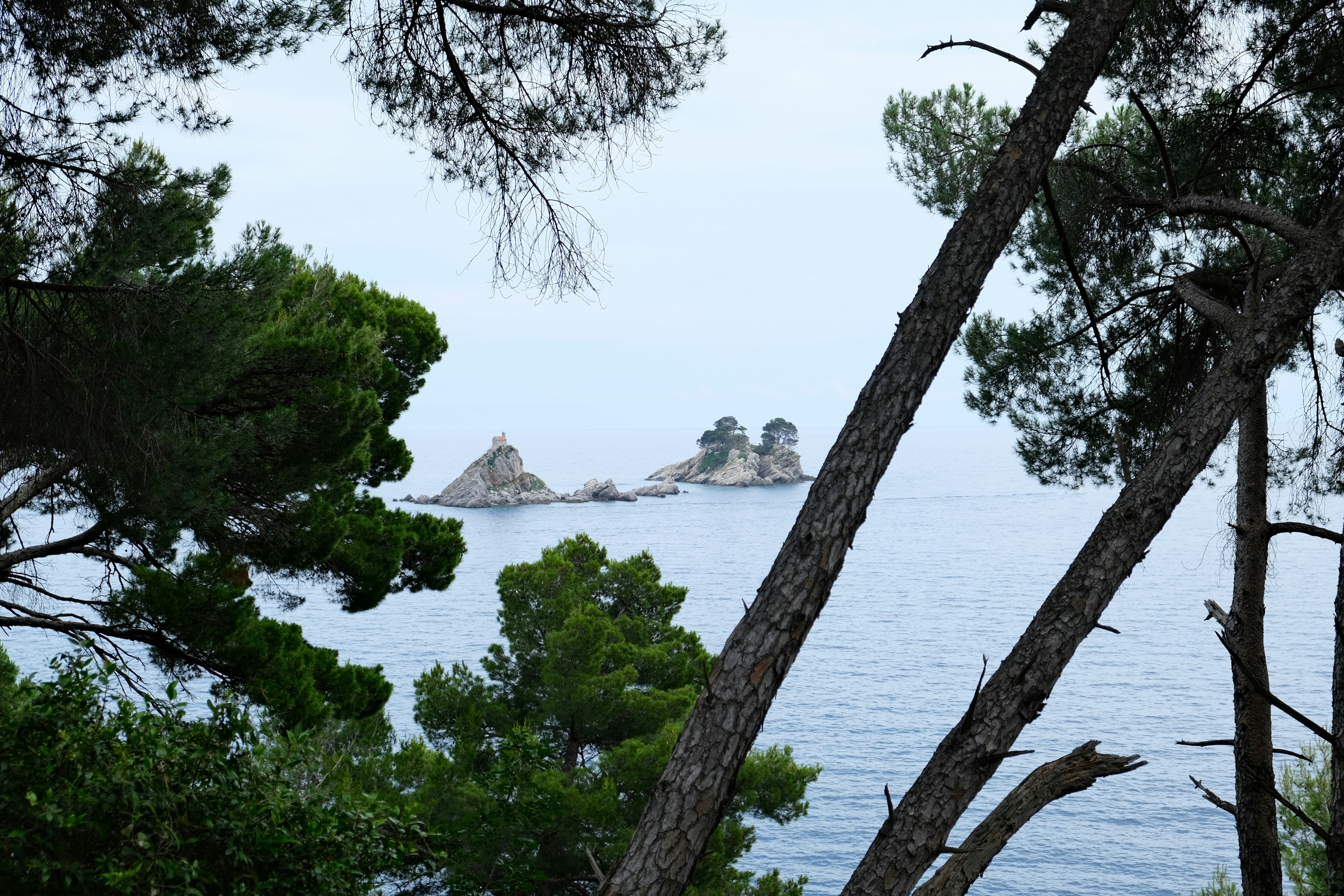 Photo by alexxingplus