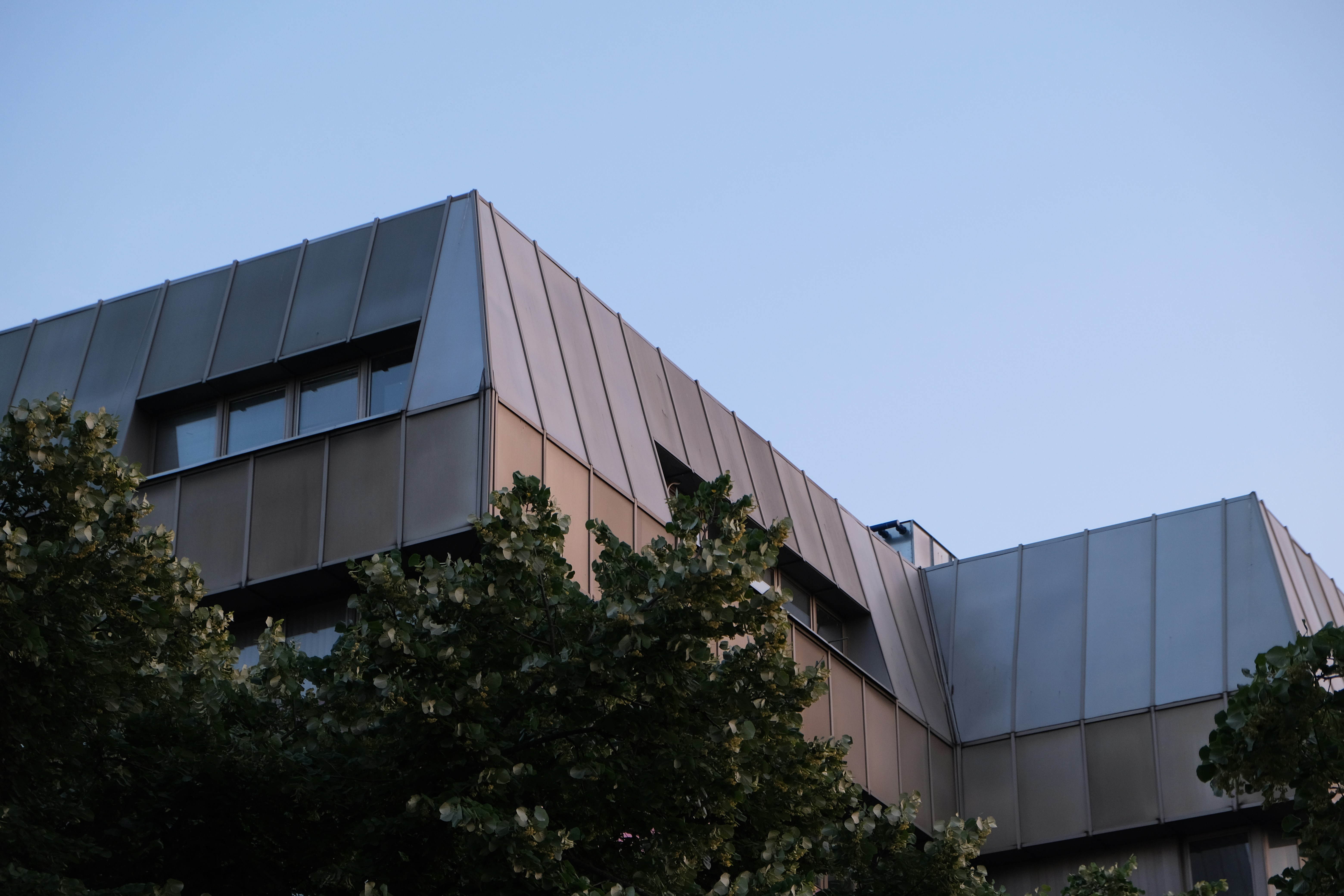 Photo by alexxingplus