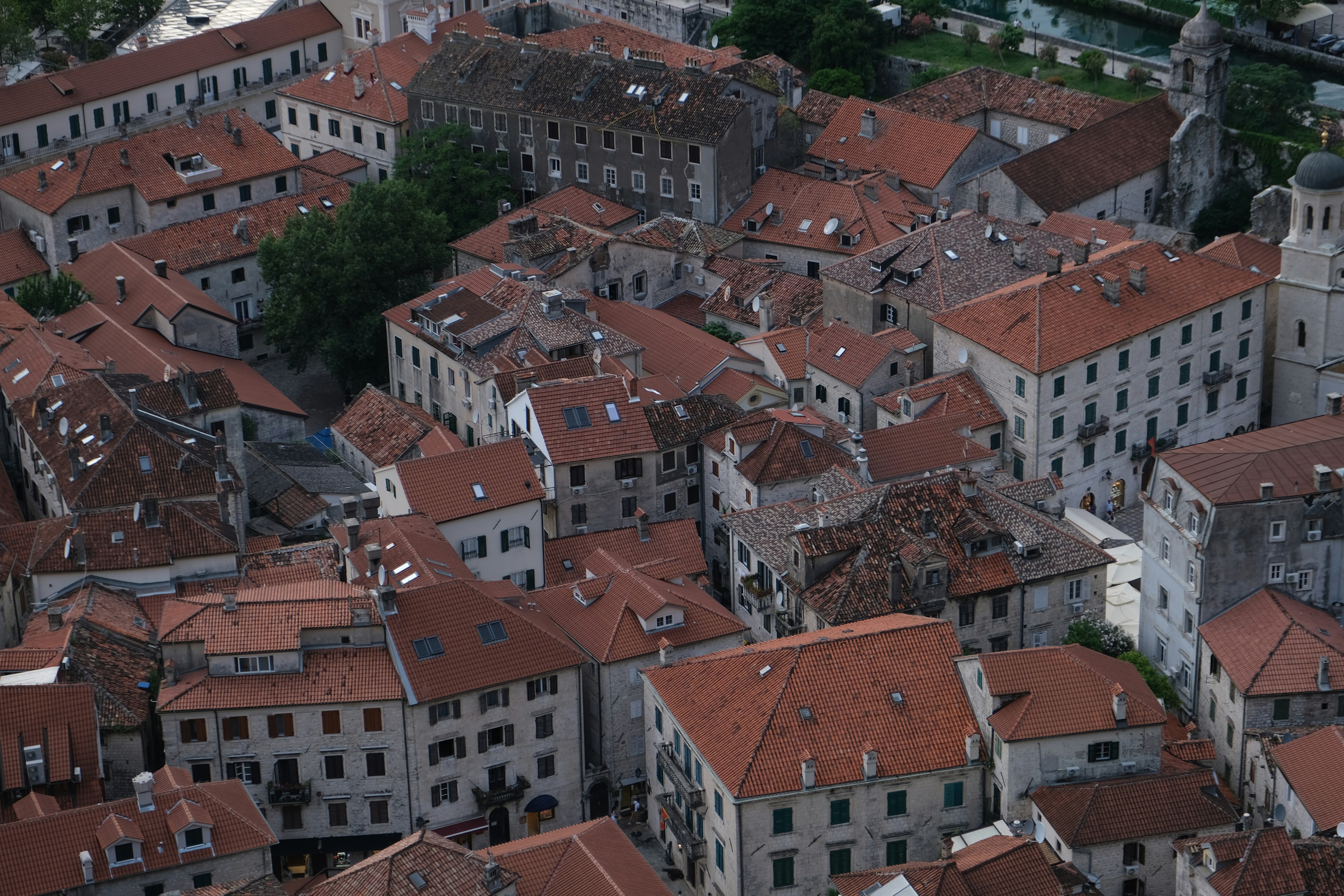 Photo by alexxingplus