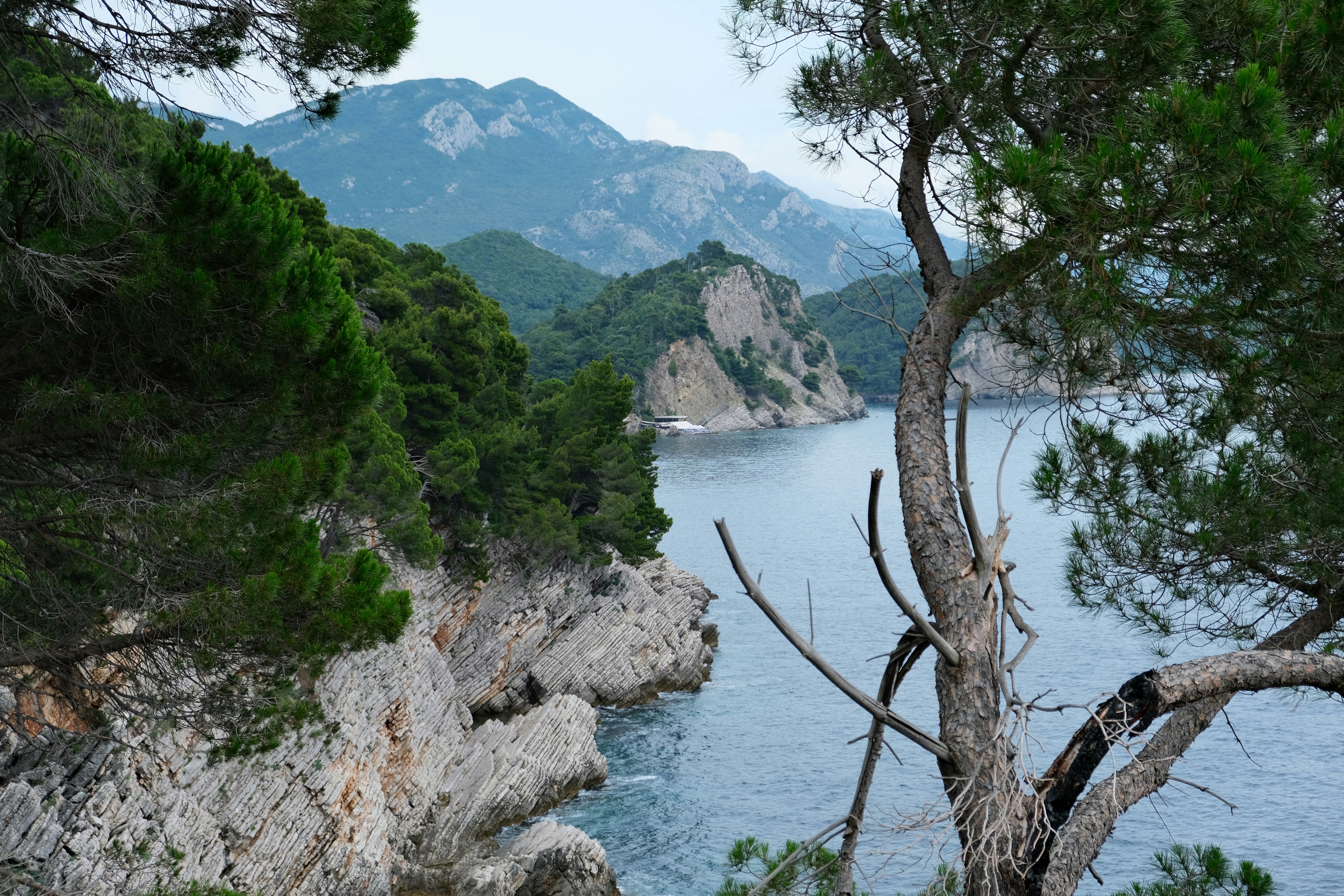 Photo by alexxingplus