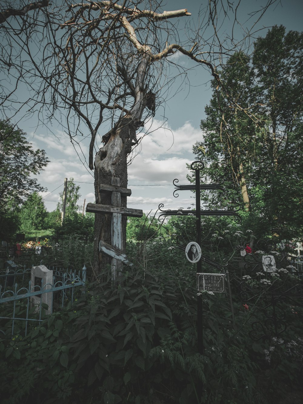 a cemetery with a cross and a dead tree