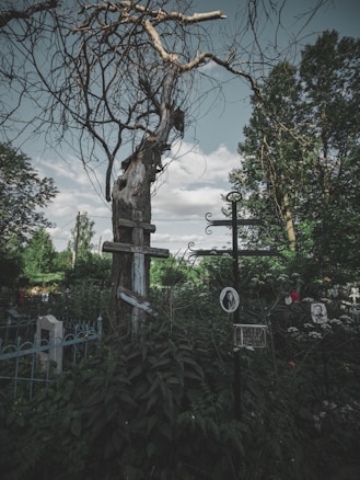 A haunting scene with an old, twisted tree surrounded by dense, overgrown foliage. The tree trunk is weathered, with branches extending dramatically against the sky. In the foreground, crosses and memorial plaques suggest a graveyard setting. A somber atmosphere is enhanced by the cloudy sky and the shadows cast by the foliage.