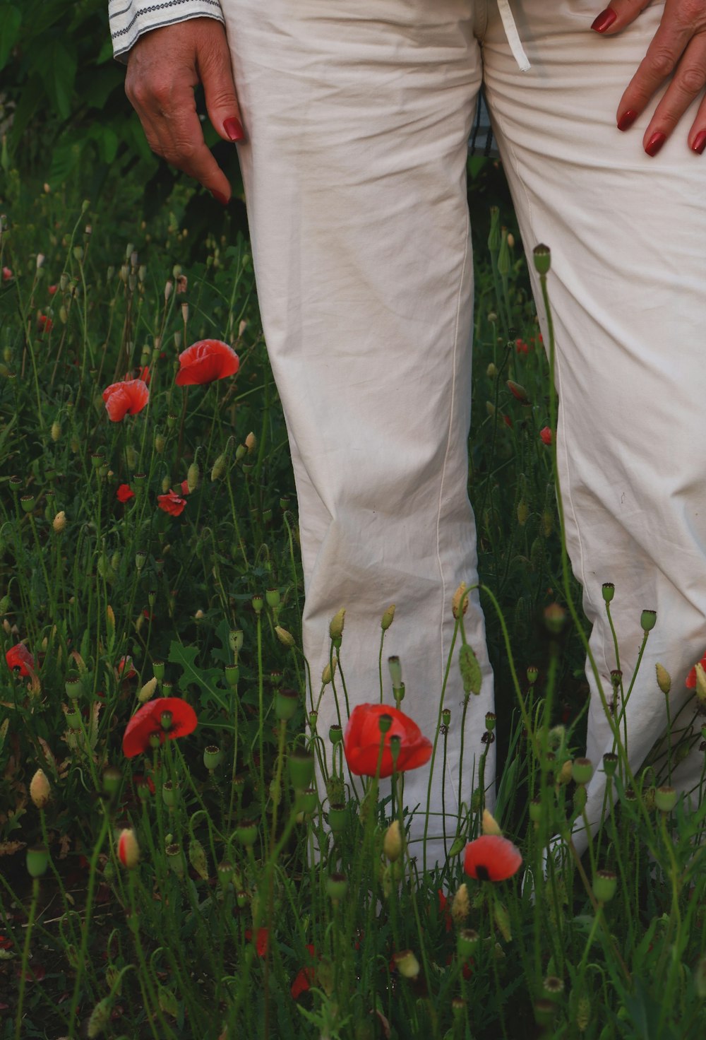 a person standing in a field of flowers