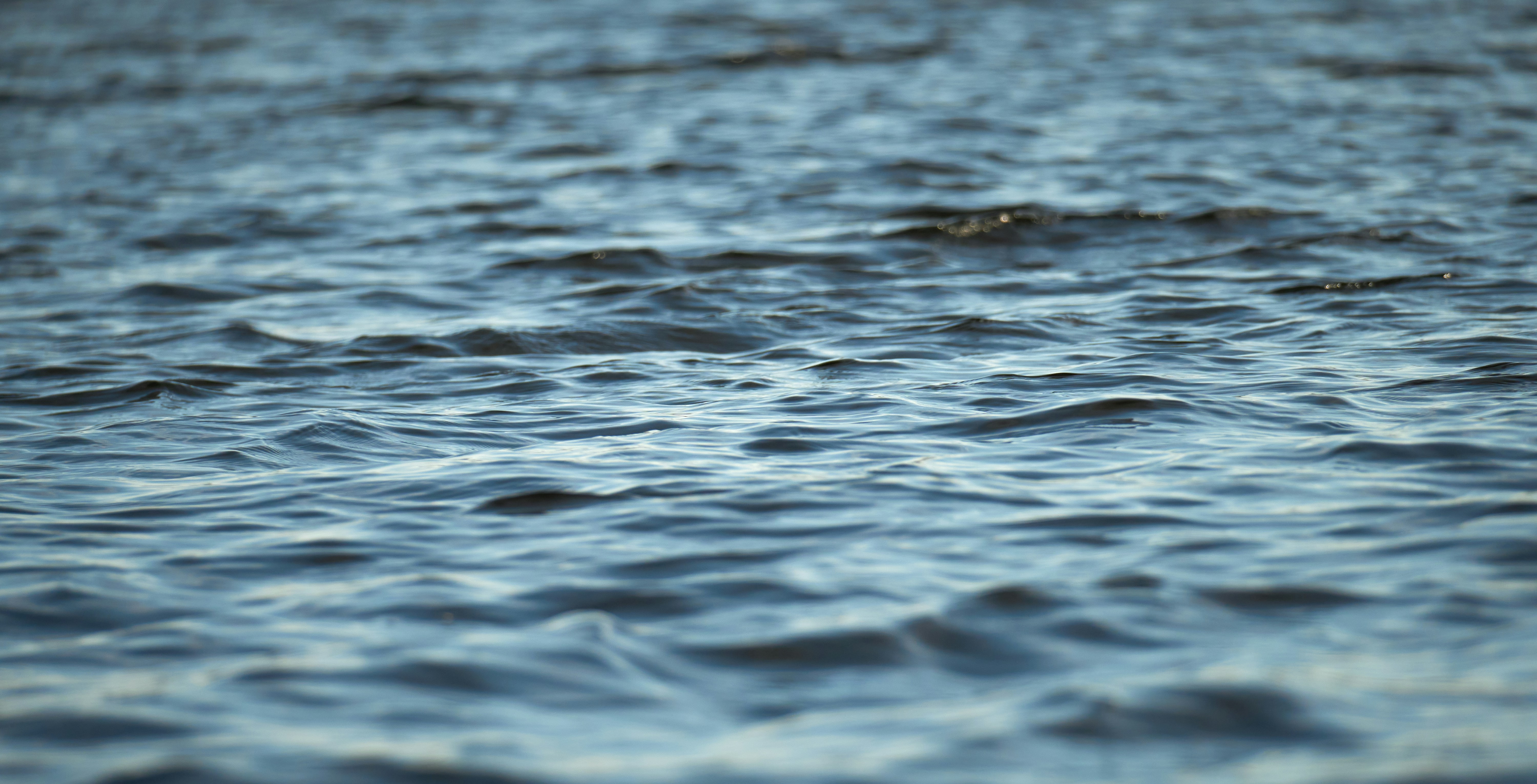 Photo by nilssoderman