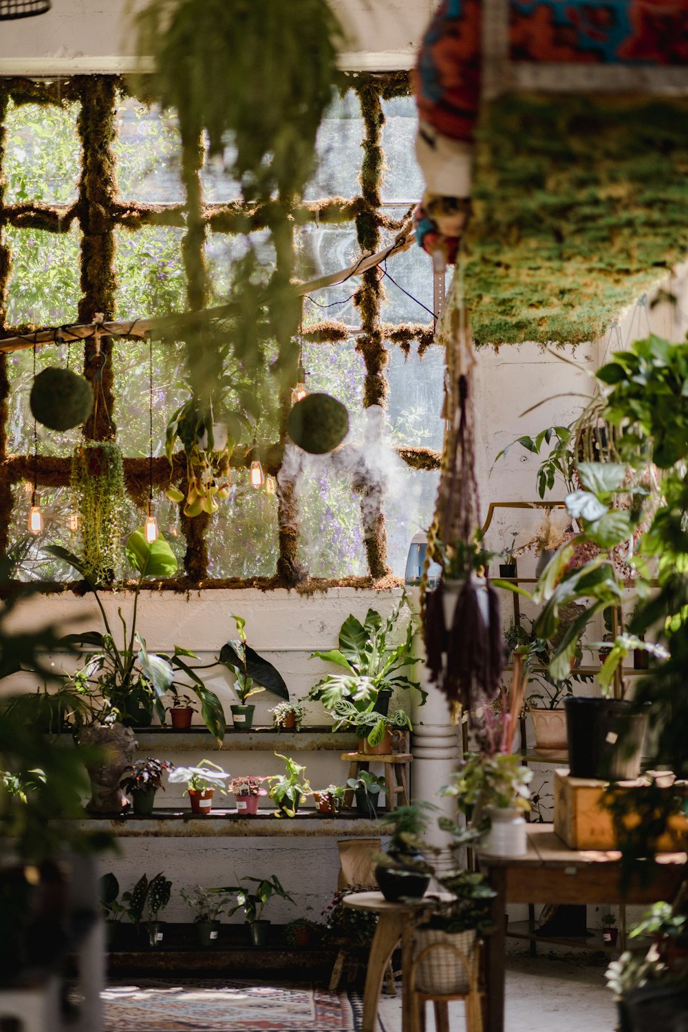 a room filled with lots of plants and hanging plants