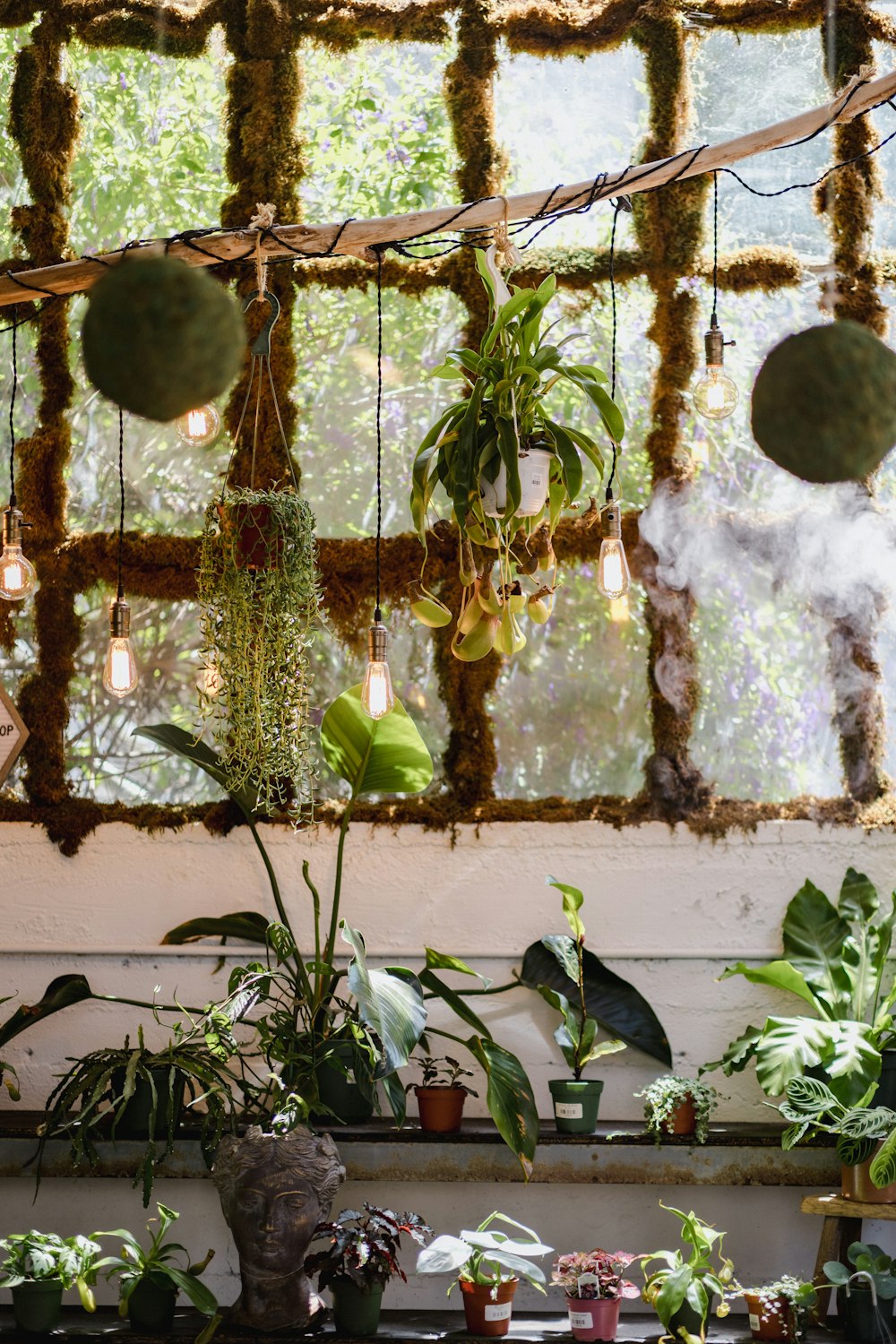 a room filled with lots of plants and hanging lights