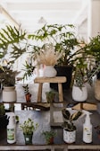 An arrangement of various potted plants displayed on a tiered stone shelf. The top tier features a white pot with dried grasses on a rustic wooden stool, surrounded by lush green plants. The lower tier includes small pots with leafy plants and gardening spray bottles, creating a natural and serene atmosphere.