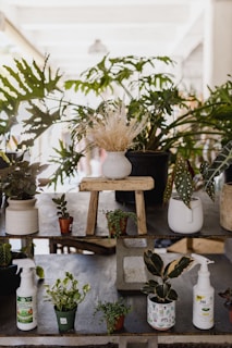An arrangement of various potted plants displayed on a tiered stone shelf. The top tier features a white pot with dried grasses on a rustic wooden stool, surrounded by lush green plants. The lower tier includes small pots with leafy plants and gardening spray bottles, creating a natural and serene atmosphere.