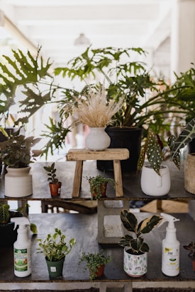 An arrangement of various potted plants displayed on a tiered stone shelf. The top tier features a white pot with dried grasses on a rustic wooden stool, surrounded by lush green plants. The lower tier includes small pots with leafy plants and gardening spray bottles, creating a natural and serene atmosphere.