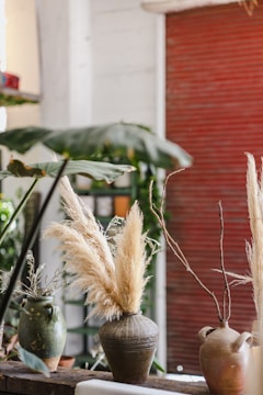 A serene indoor setting features a variety of potted plants and vases on a wooden surface. Tall, dried pampas grass is elegantly arranged in a large, rustic ceramic vase. Two other smaller vases with minimalistic foliage complement the setting. The background includes a partially blurred plant and a red rustic shutter, adding depth to the scene.