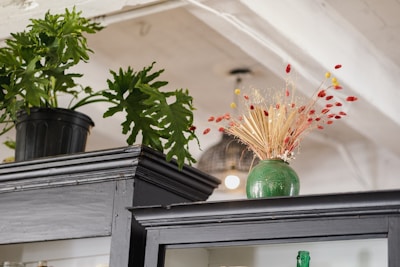 A green leafy plant in a black pot and a green vase with dried flowers are situated on top of a black piece of furniture. The setting appears to be an indoor space with a white ceiling and a hanging lamp in the background.