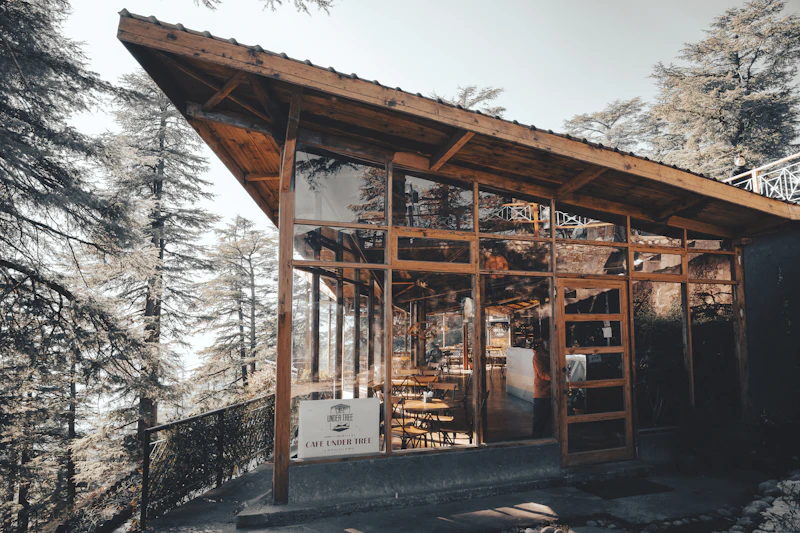 Best Late Night Coffee Places in Shimla Still Open After Dark